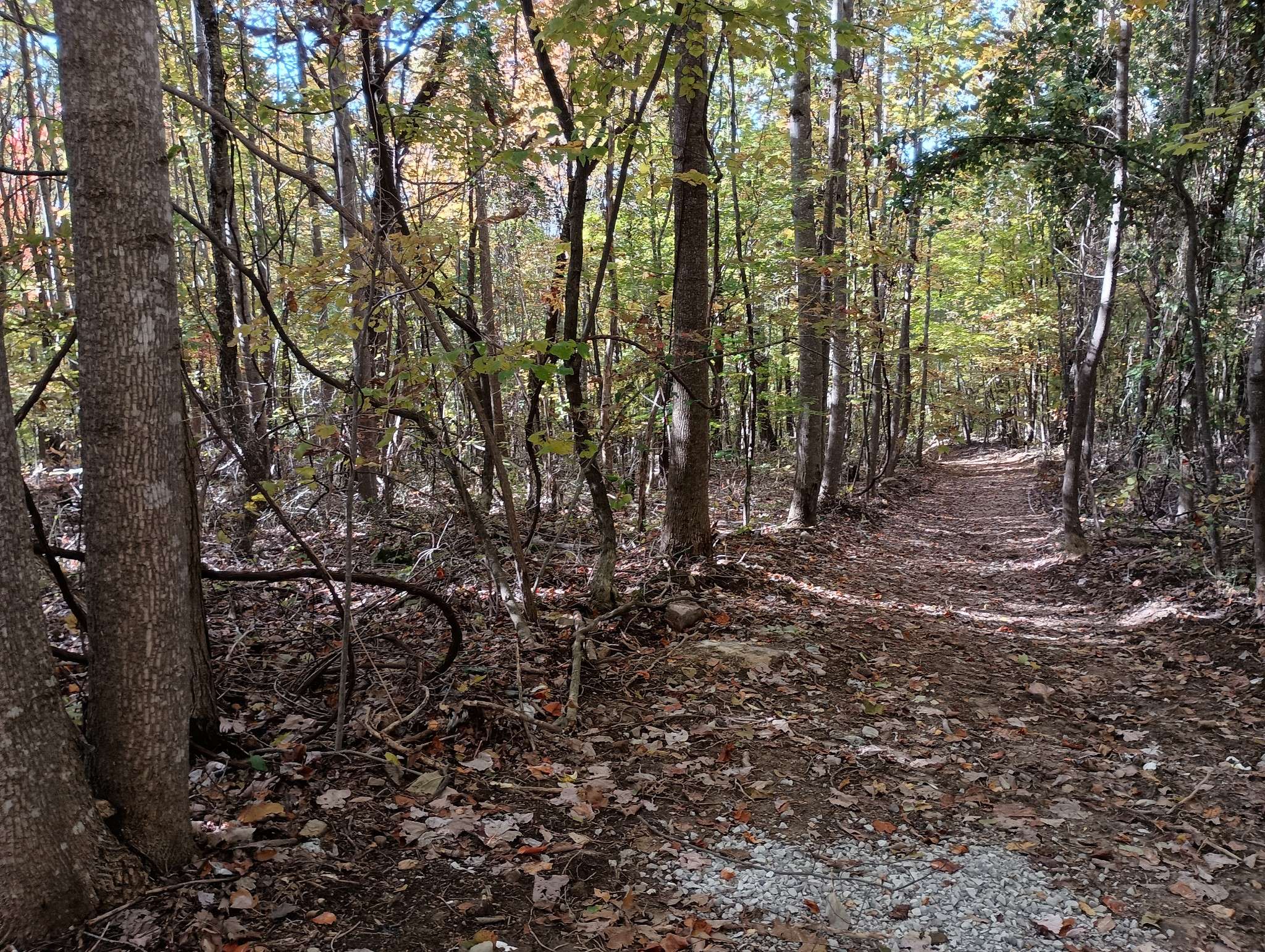 0 Clouse Hill Rd, Pelham, TN 37366