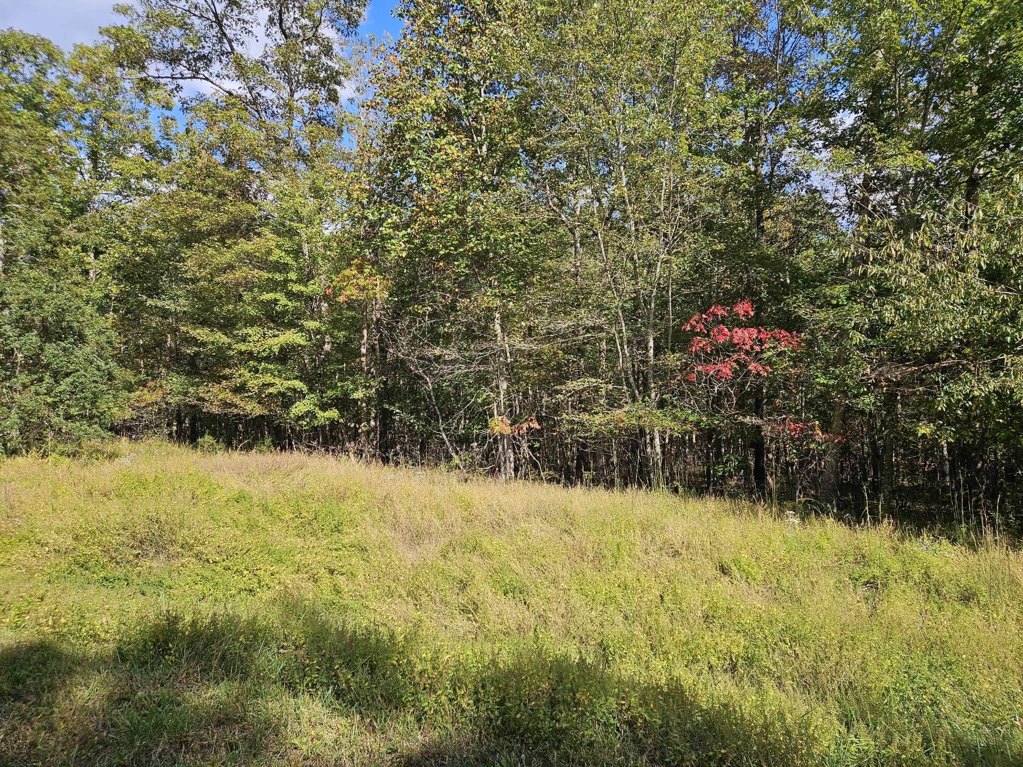 0 Holly Lane, Spencer, TN 38585