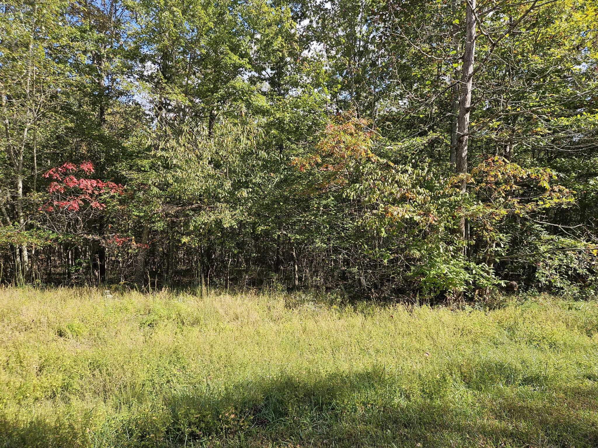 0 Holly Lane, Spencer, TN 38585