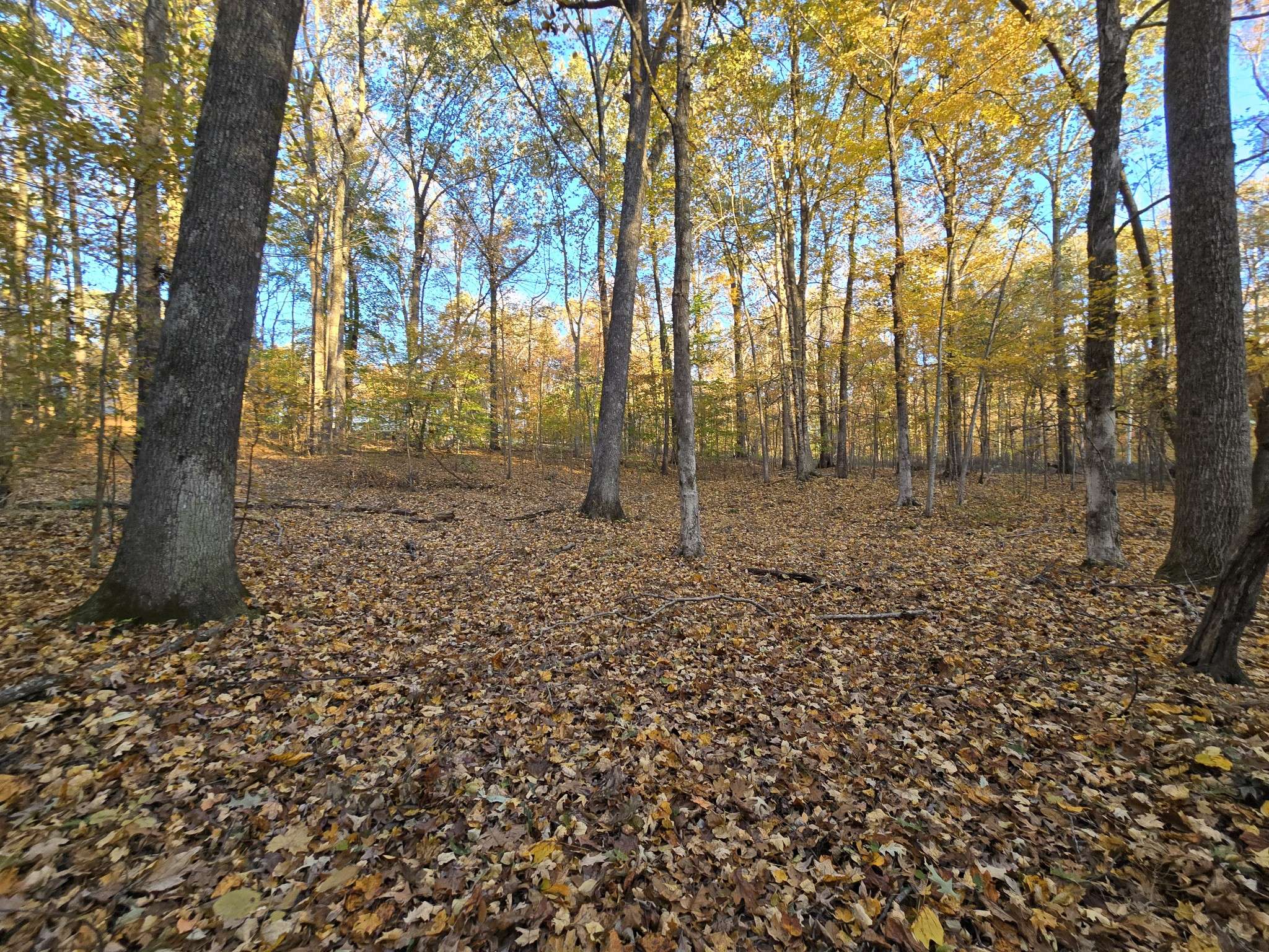 14 Rockcastle Shores, Cadiz, KY 42211
