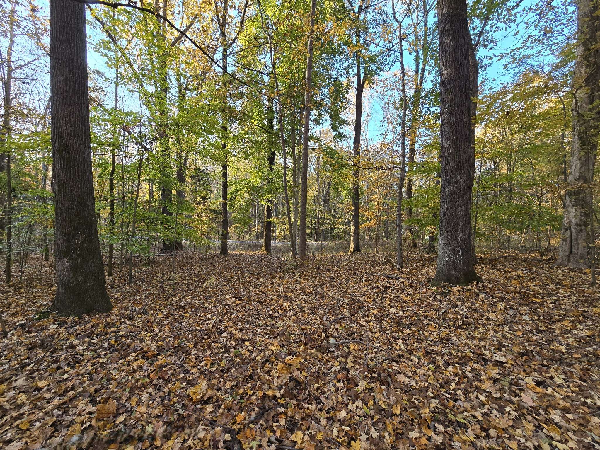 14 Rockcastle Shores, Cadiz, KY 42211