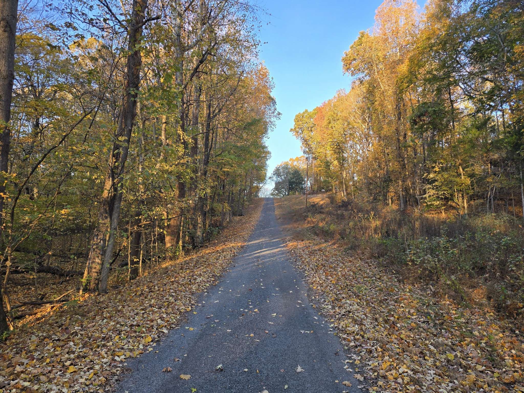 14 Rockcastle Shores, Cadiz, KY 42211