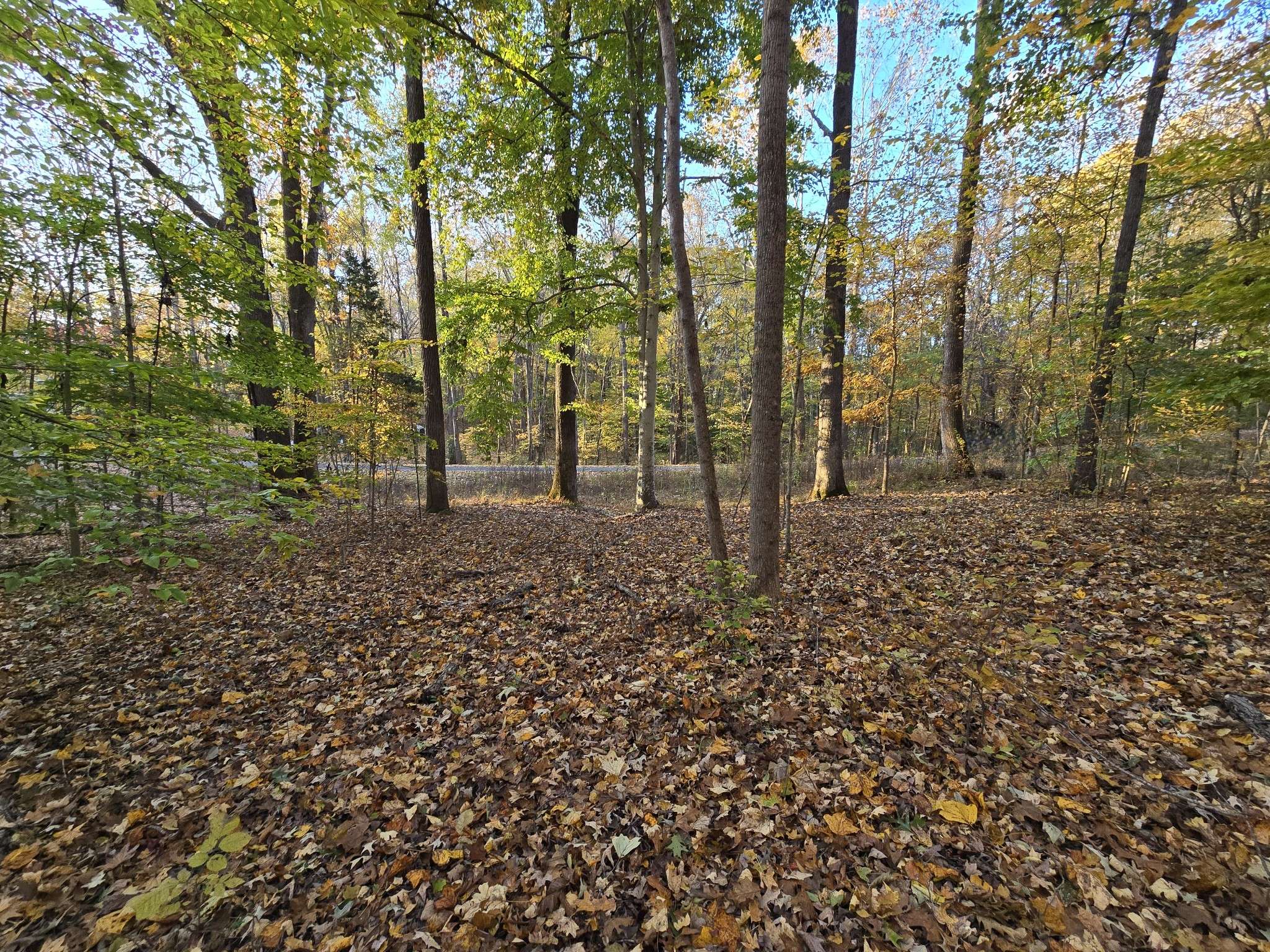 14 Rockcastle Shores, Cadiz, KY 42211