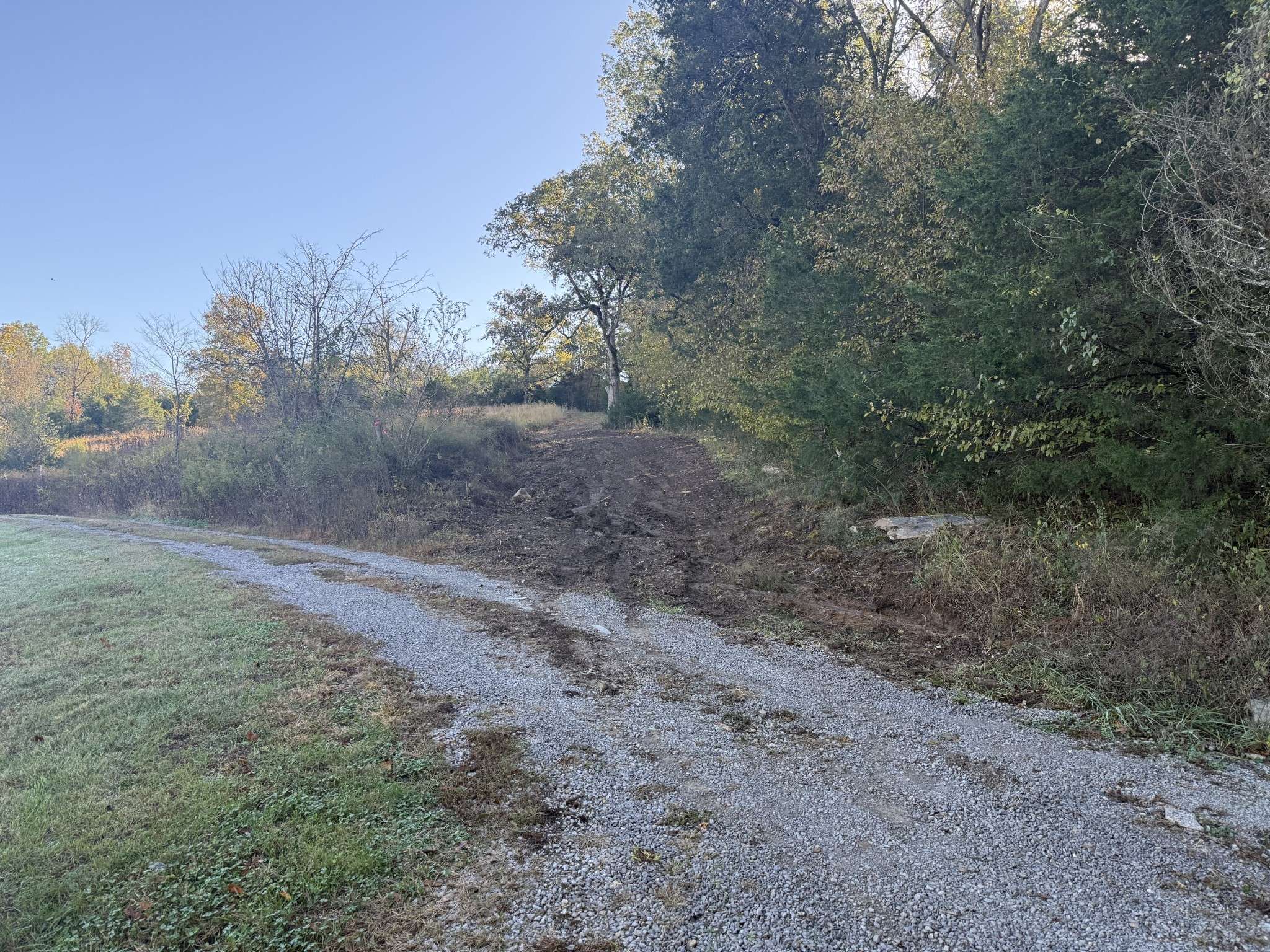 0 Moore Hollow Rd, Prospect, TN 38477