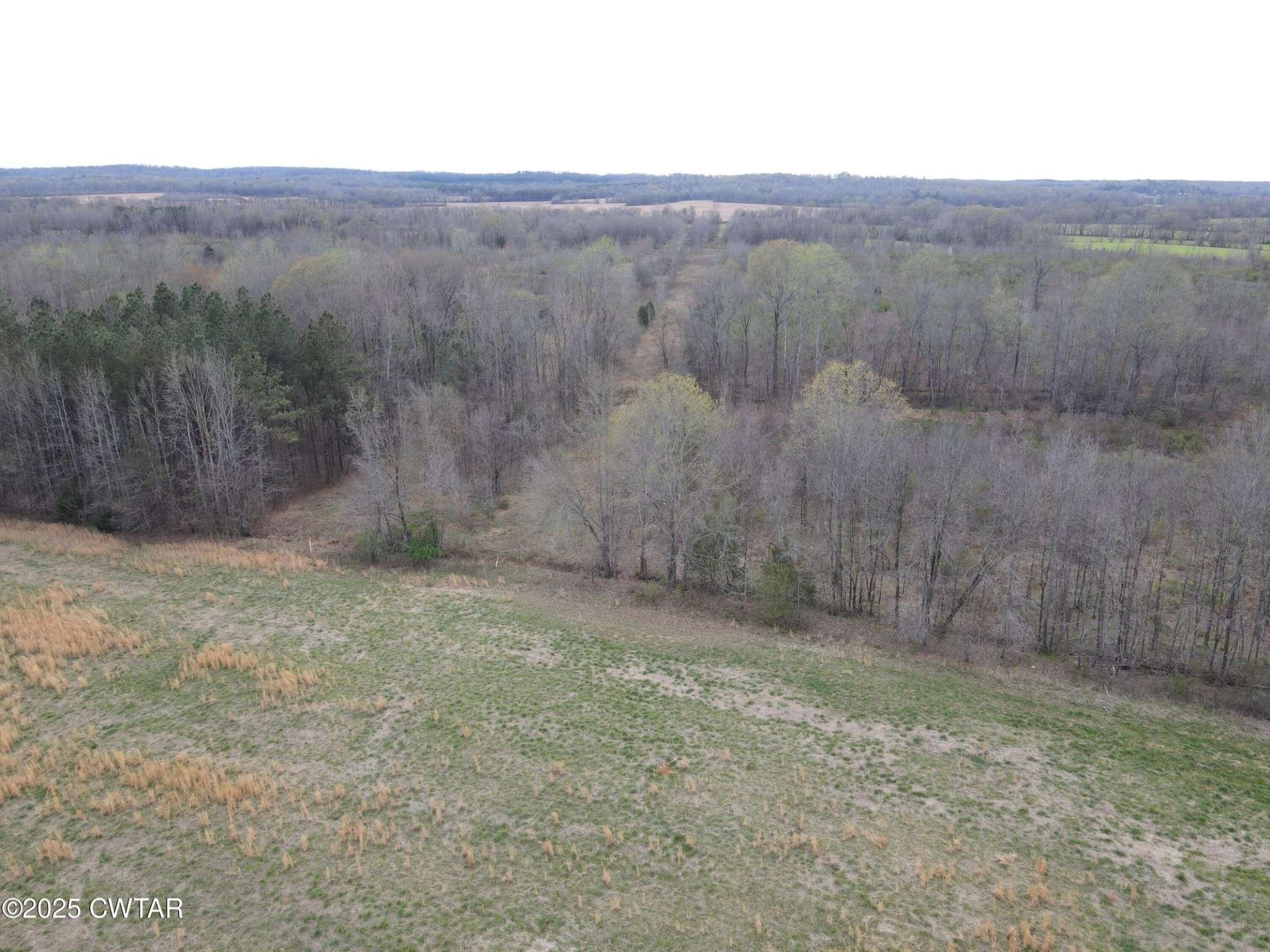 0 State Route 22A #S, Enville, TN 38332