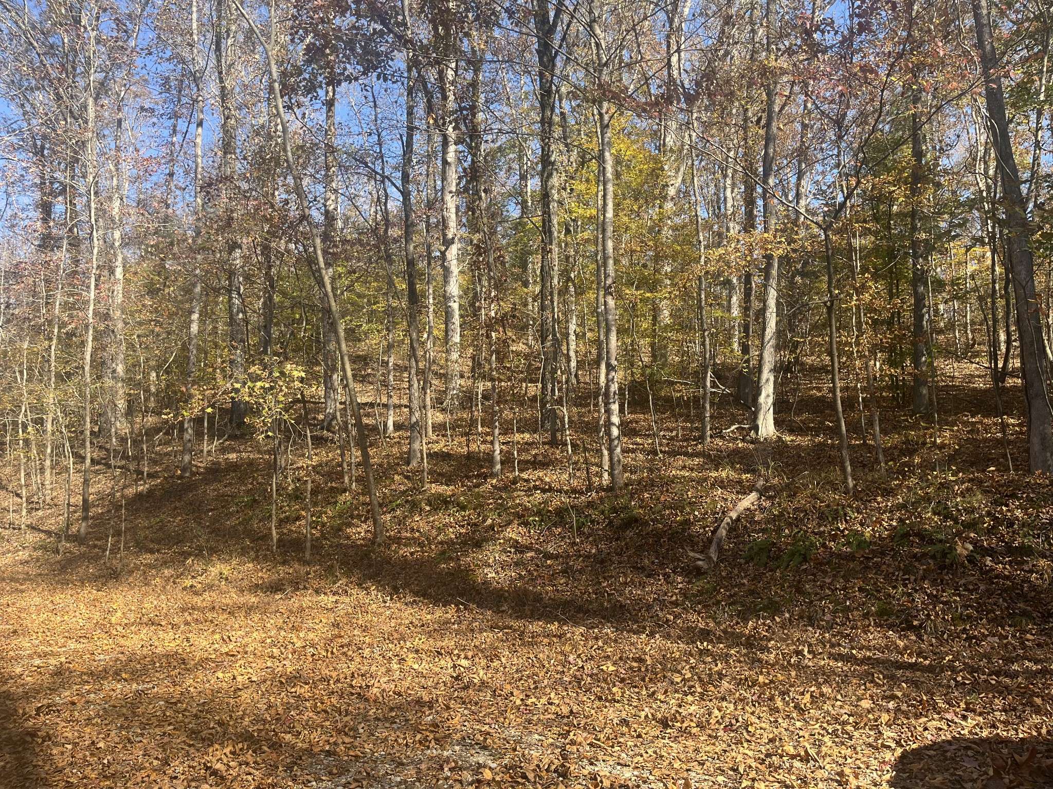 0 Arrow Head Circle, Parsons, TN 38363