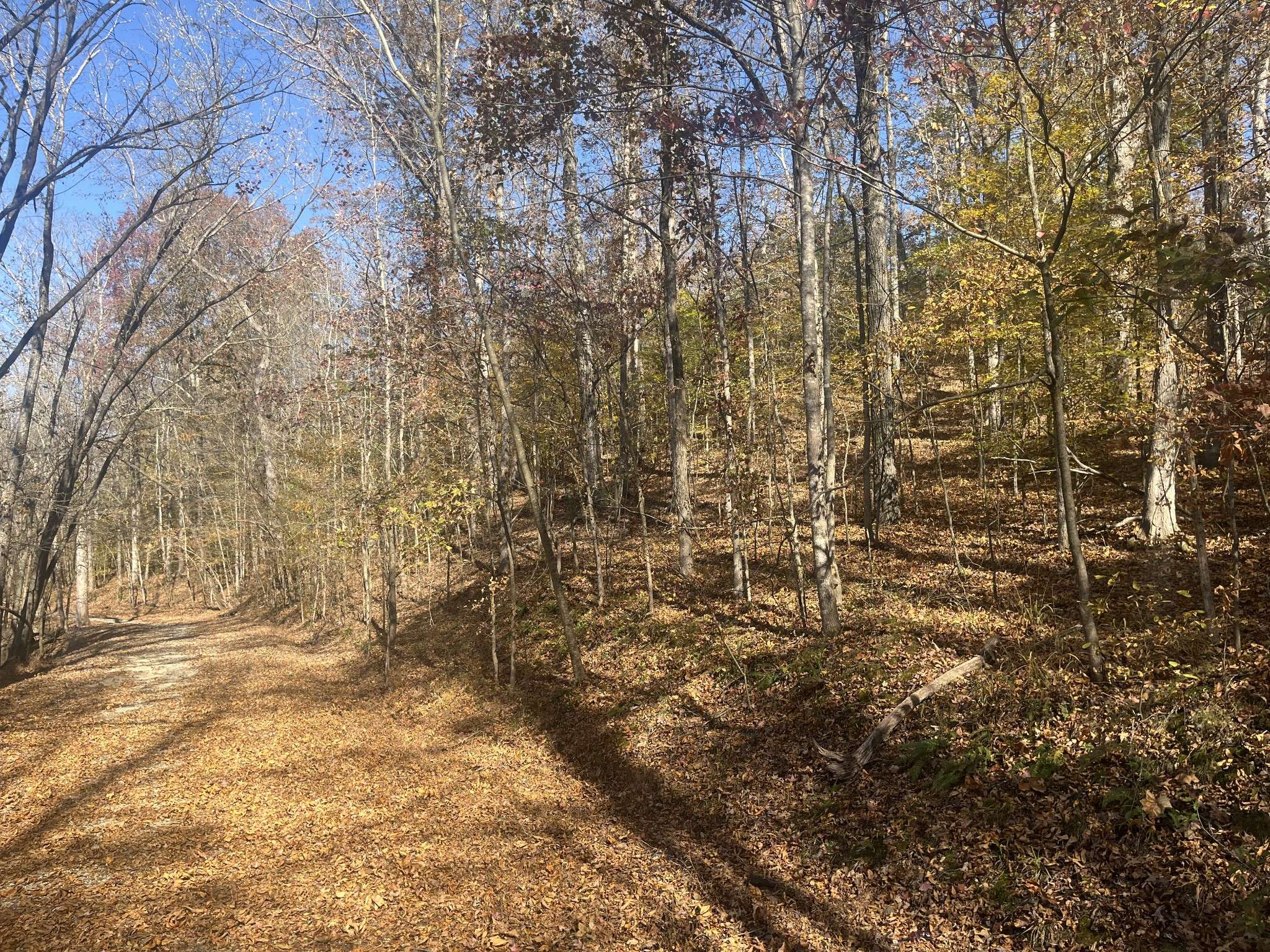 0 Arrow Head Circle, Parsons, TN 38363