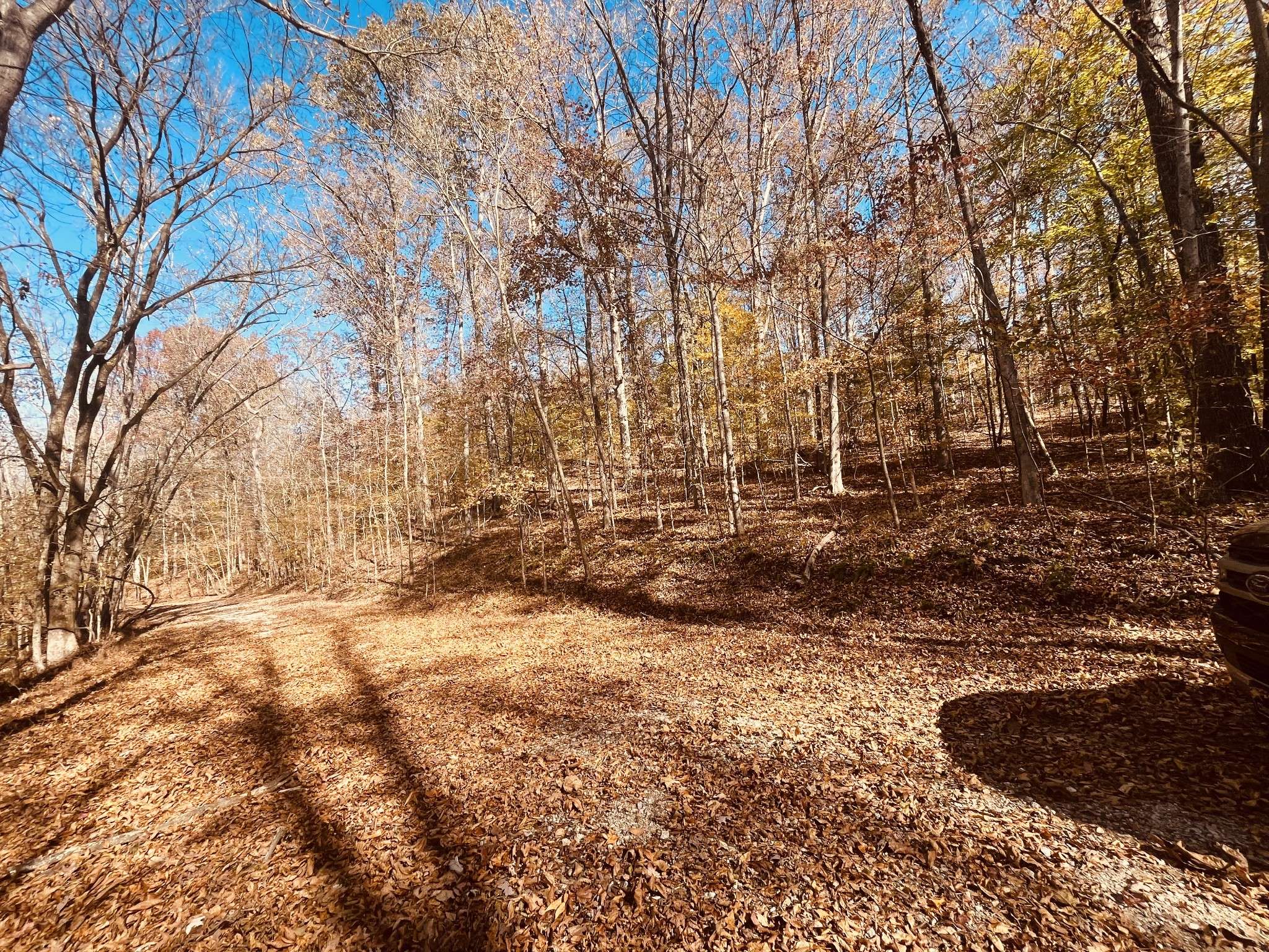 0 Arrow Head Circle, Parsons, TN 38363