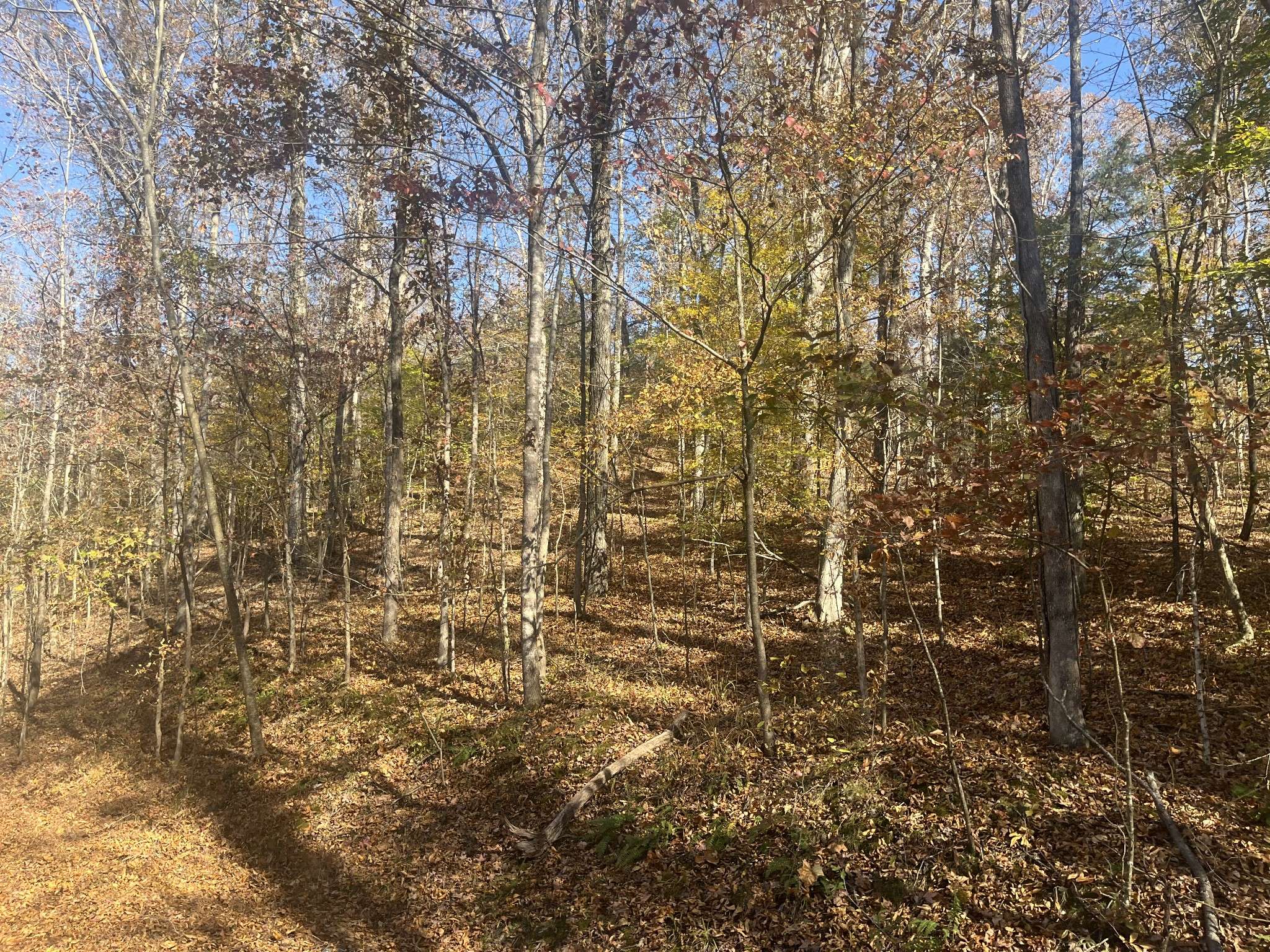 0 Arrow Head Circle, Parsons, TN 38363
