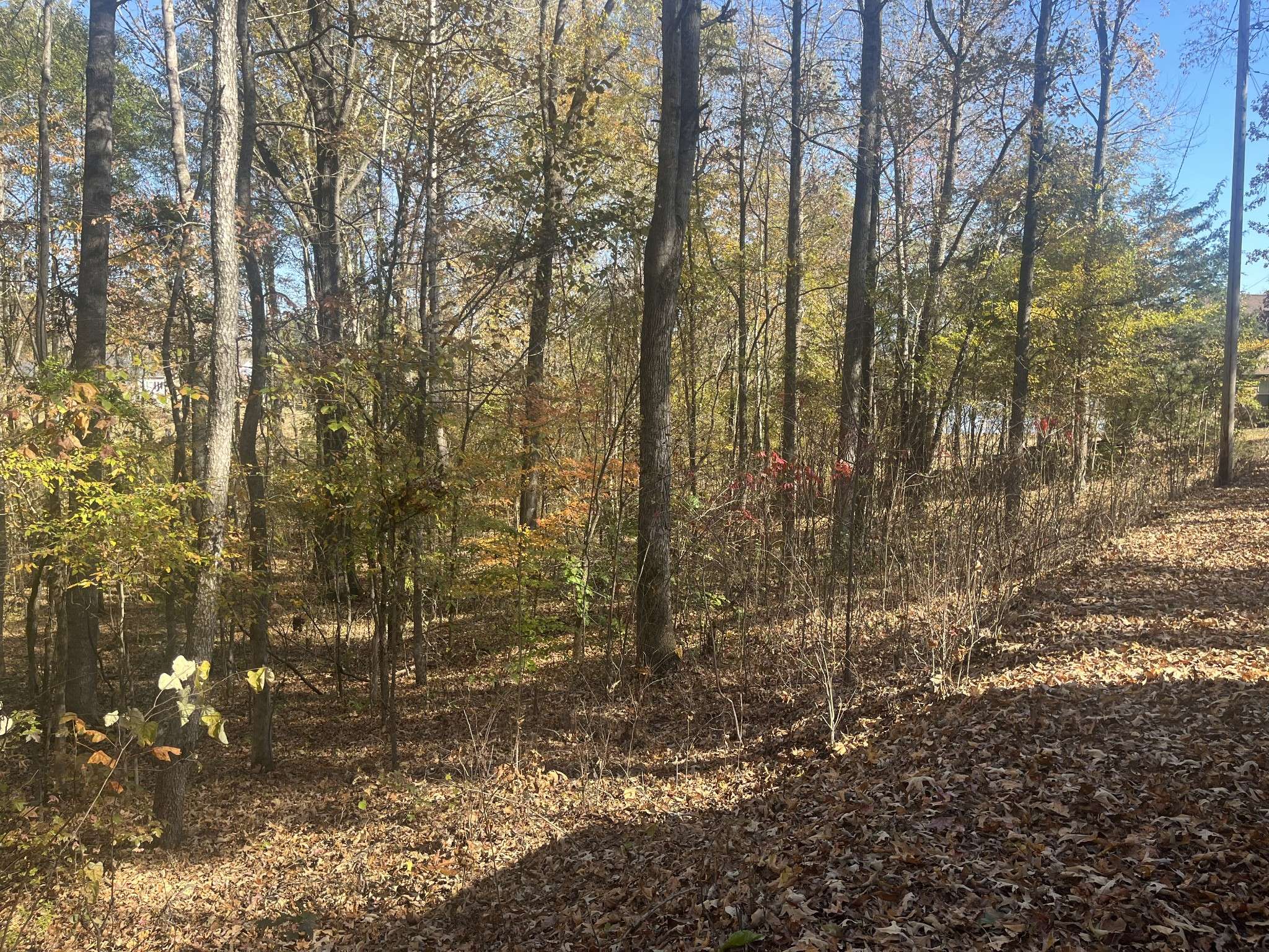 0 Indian Park Dr, Parsons, TN 38363