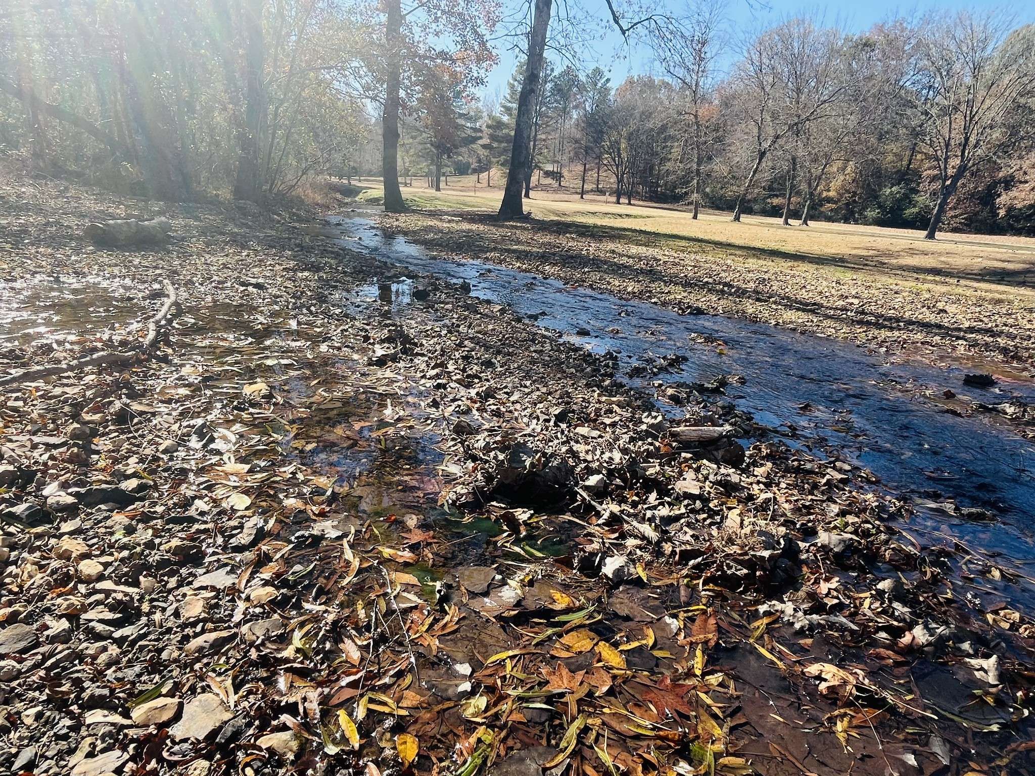 0 Indian Park Dr, Parsons, TN 38363