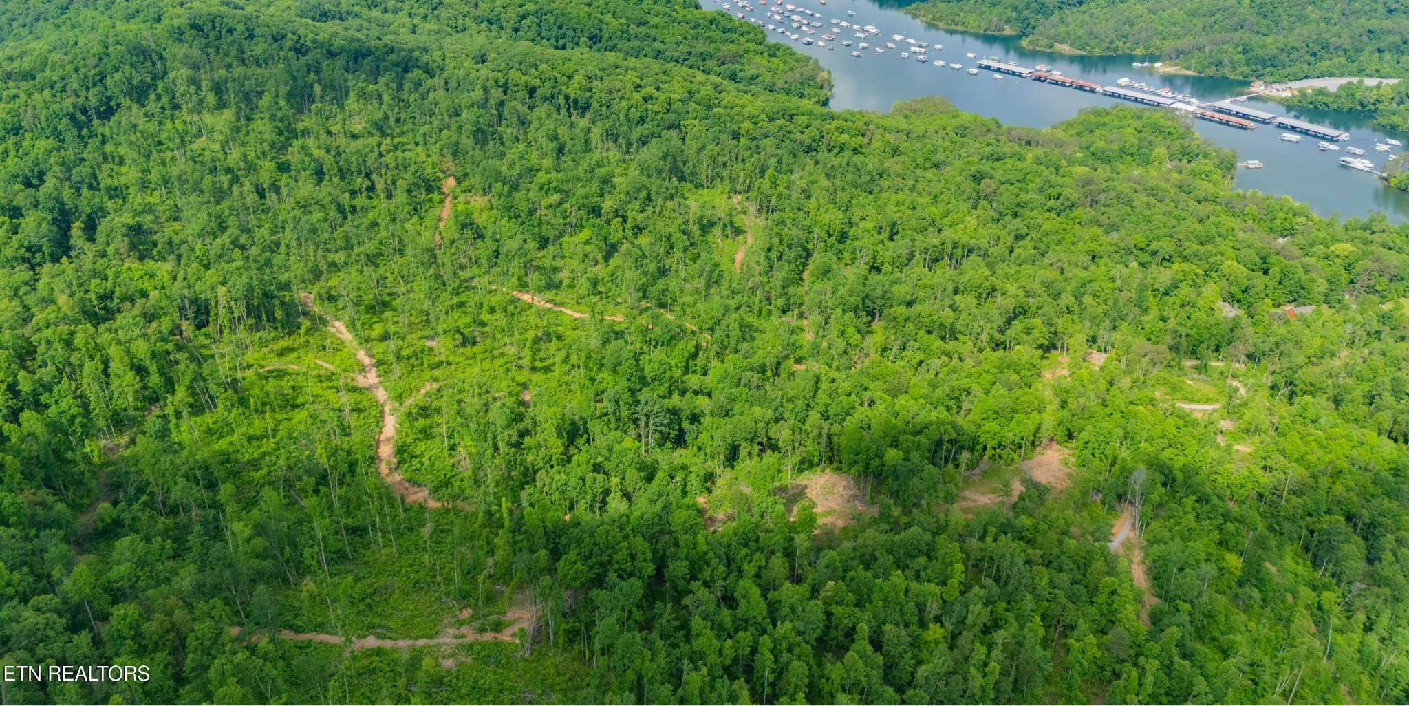 0 Lake Lane, New Tazewell, TN 37825
