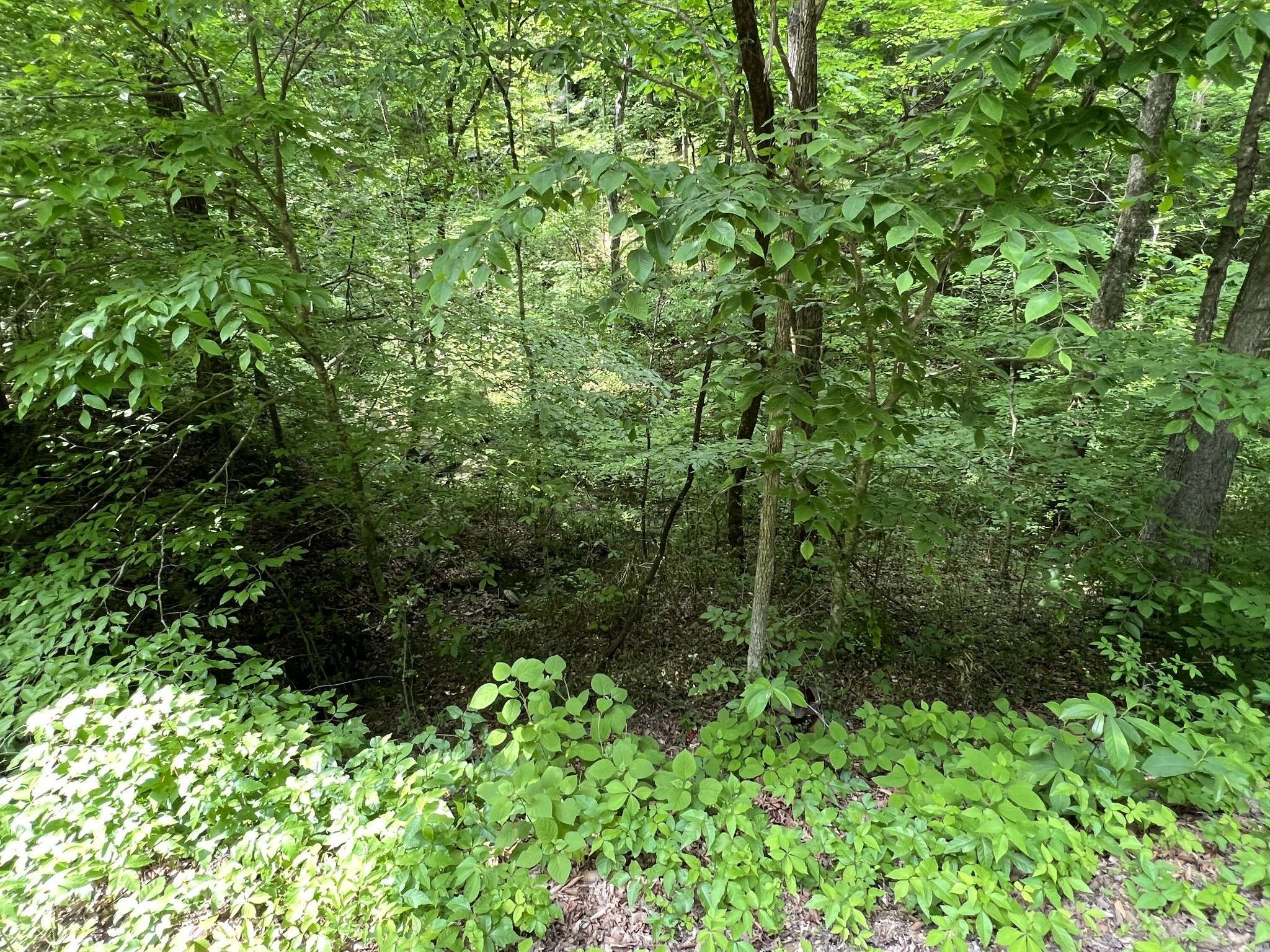 0 Clay Lick Rd, Whites Creek, TN 37189
