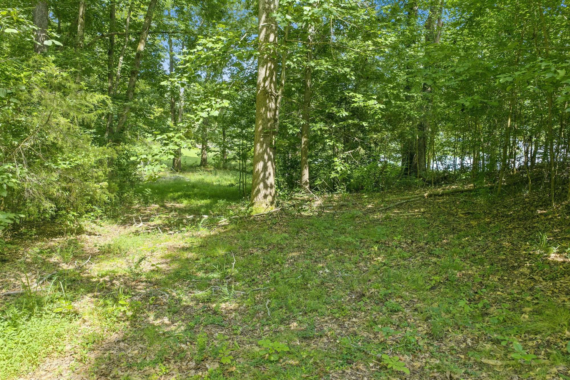 0 Fawn Ridge Rd, Parsons, TN 38363