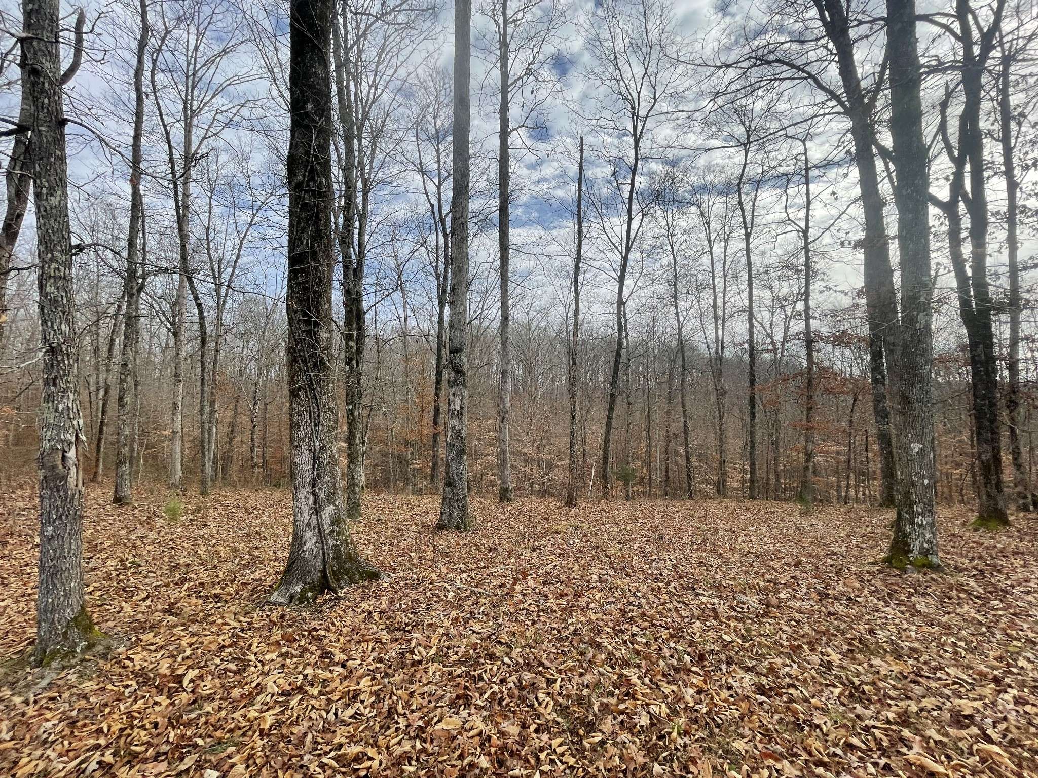 0 Stonebrook Drive, Mc Ewen, TN 37101
