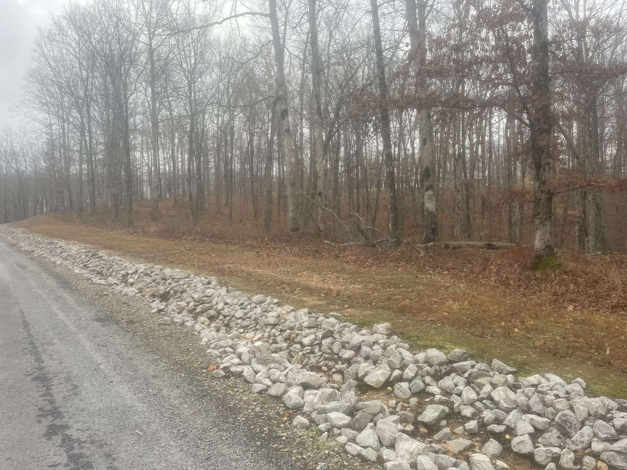 0 Stonebrook Drive, Mc Ewen, TN 37101