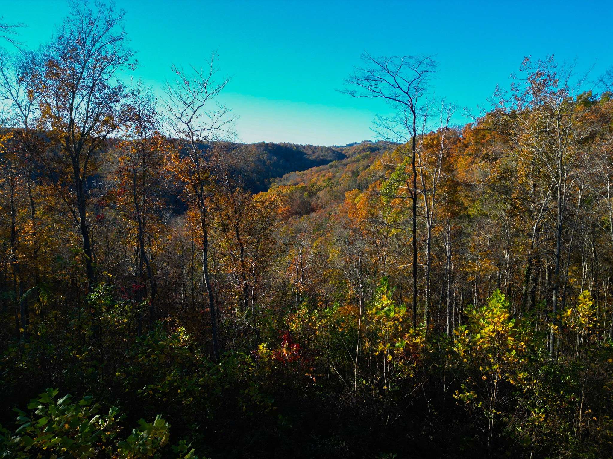 0 Rock Springs Rd, Celina, TN 38551