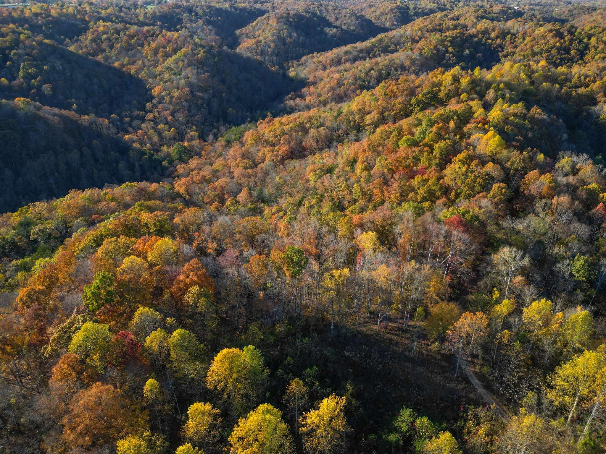 0 Rock Springs Rd, Celina, TN 38551