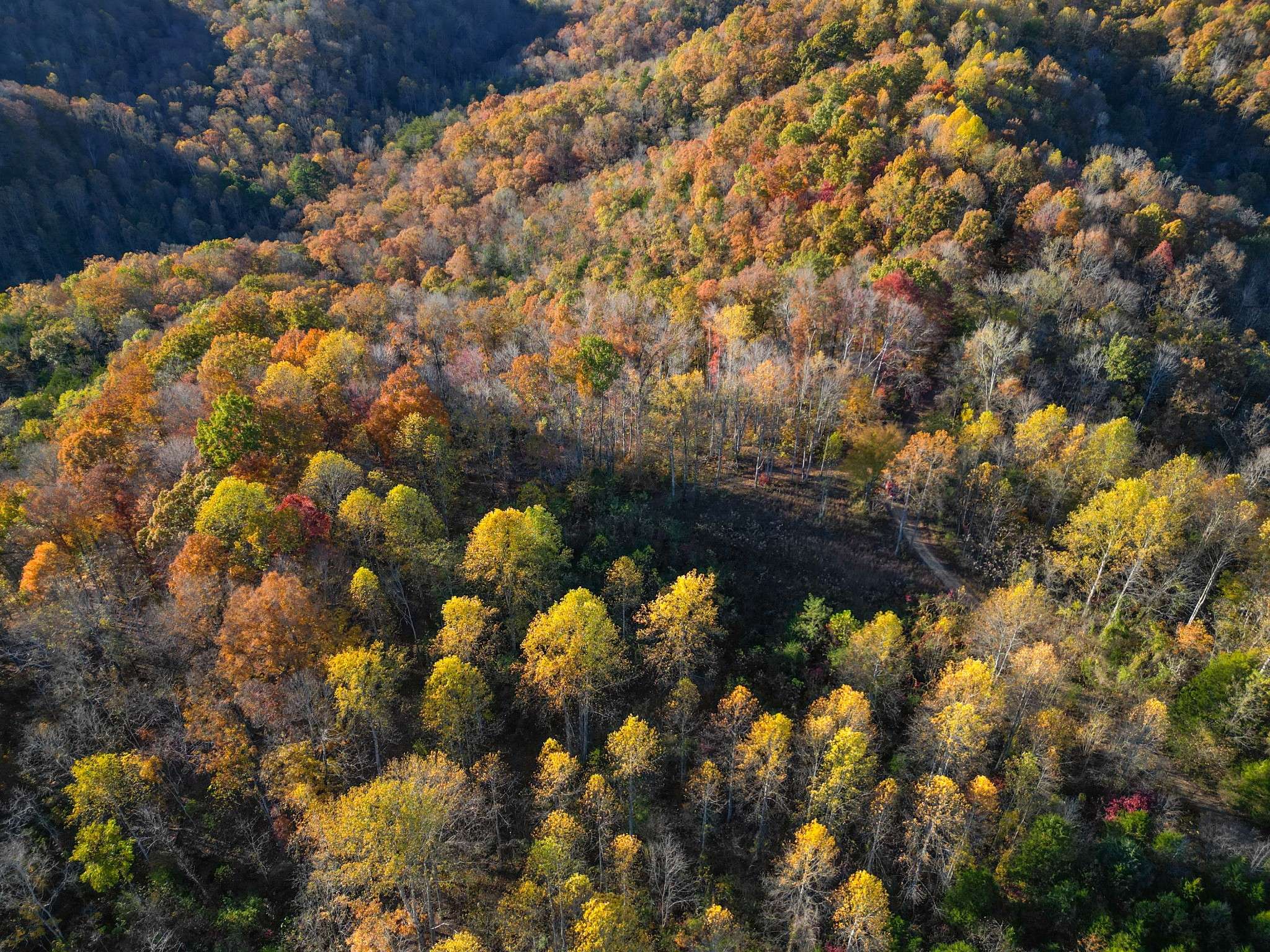 0 Rock Springs Rd, Celina, TN 38551