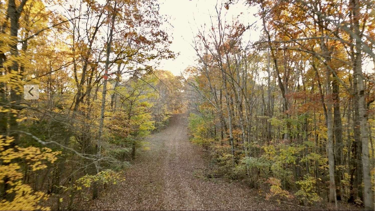 0 Rock Springs Rd, Celina, TN 38551