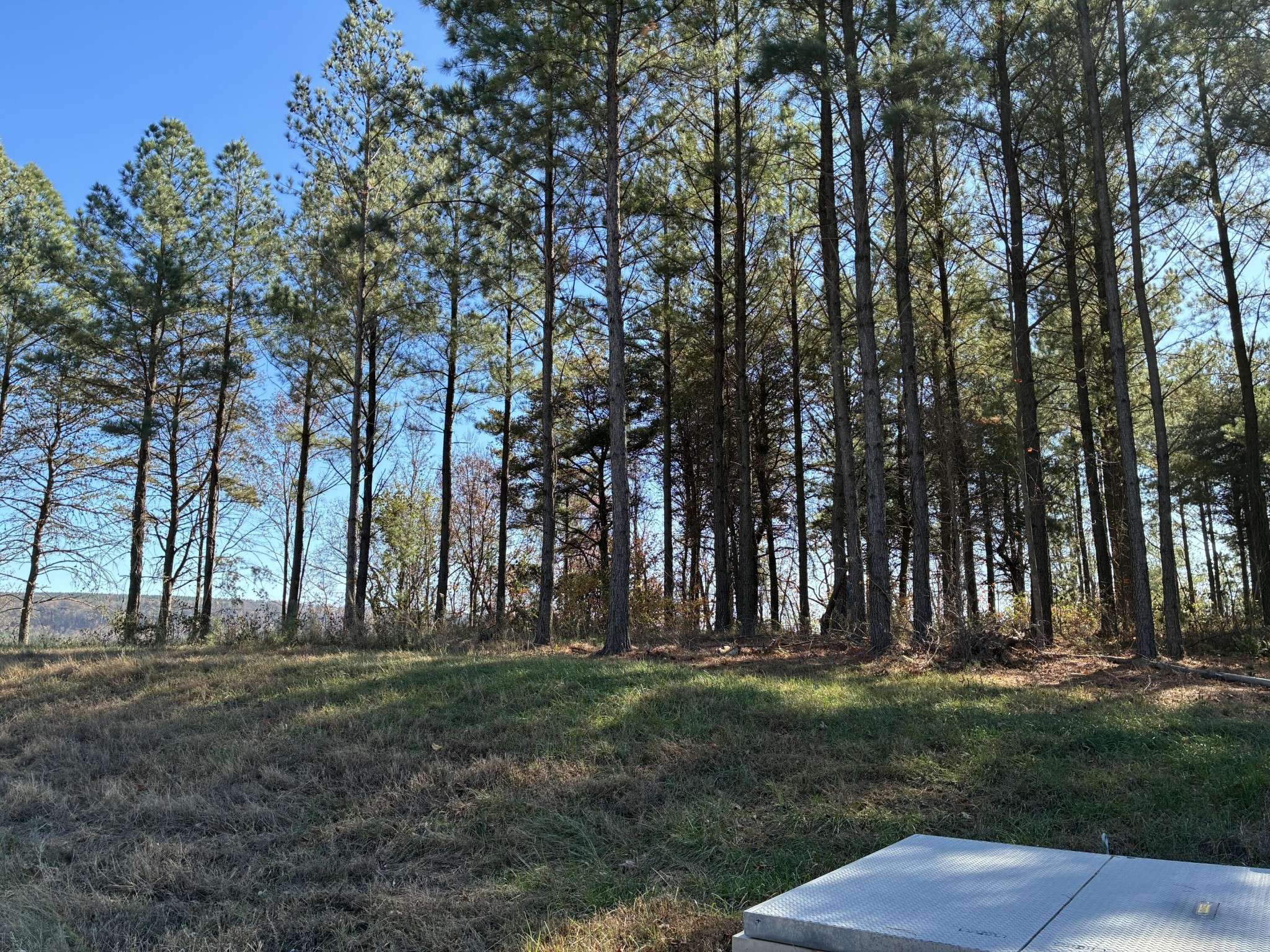 4690 Split Rail Way, Guild, TN 37340