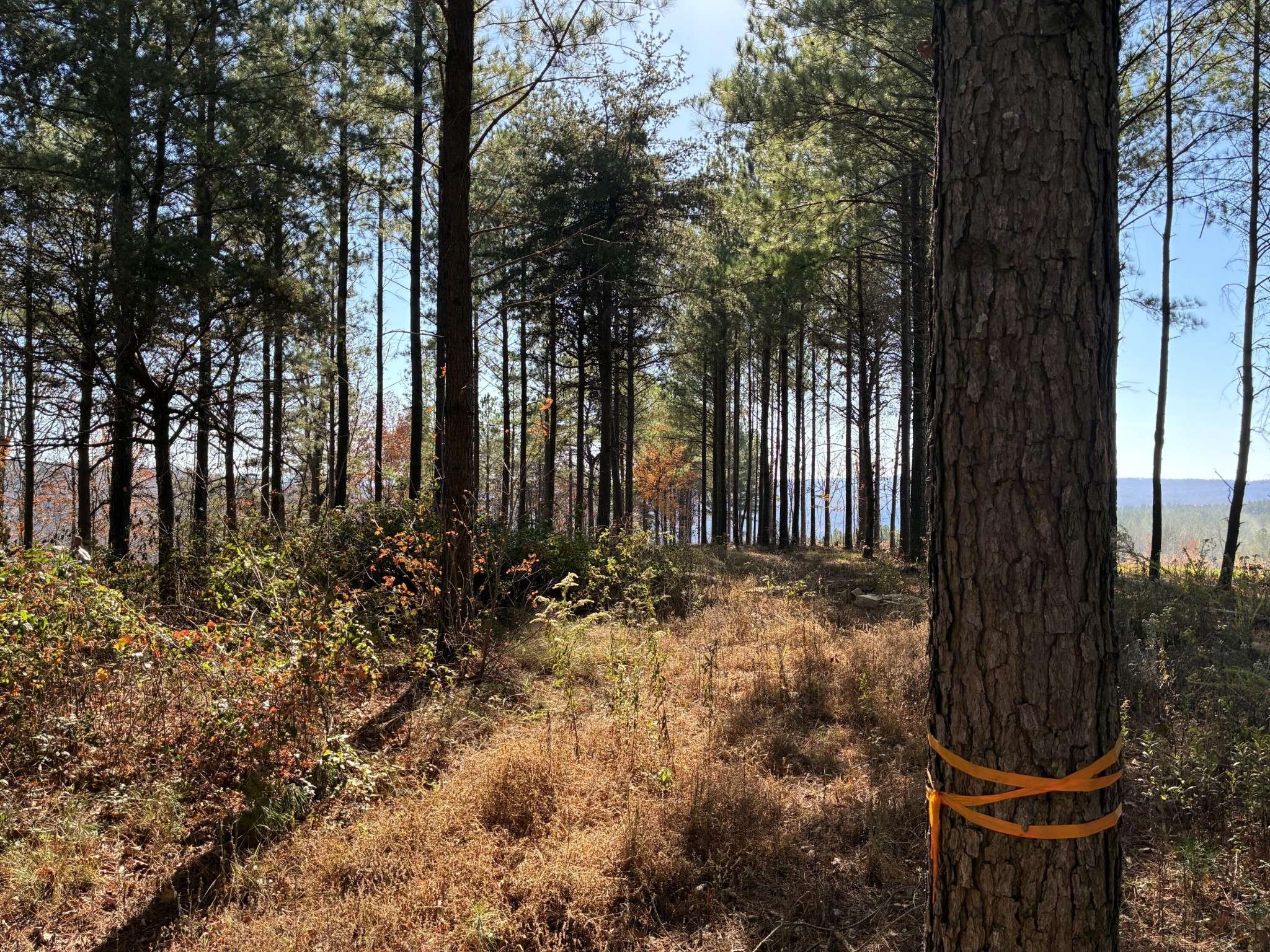 4690 Split Rail Way, Guild, TN 37340