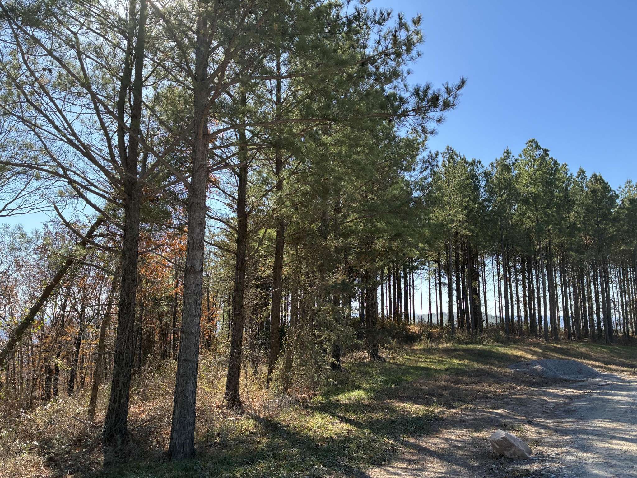 4690 Split Rail Way, Guild, TN 37340