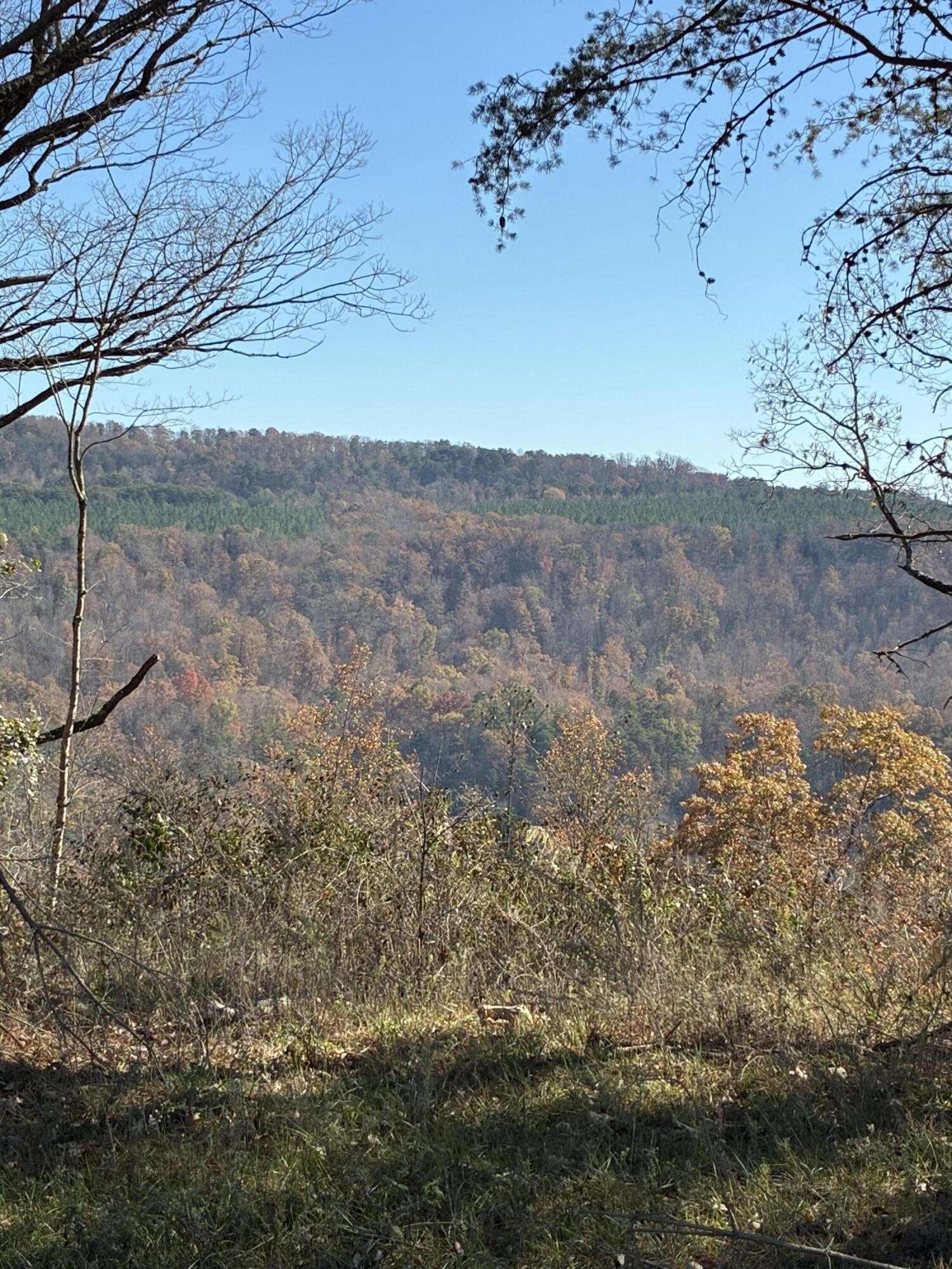 4690 Split Rail Way, Guild, TN 37340