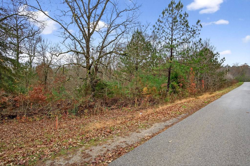 0 N Center Point Acres, Walling, TN 38587