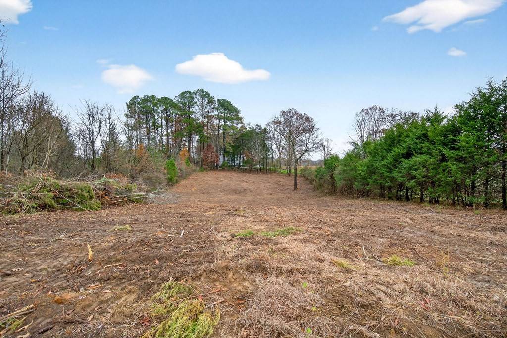0 N Center Point Acres, Walling, TN 38587
