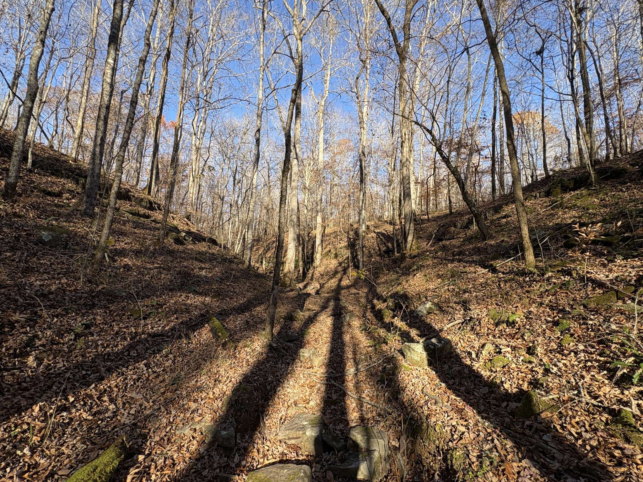 0 Pigpen Hollow Rd, Waynesboro, TN 38485
