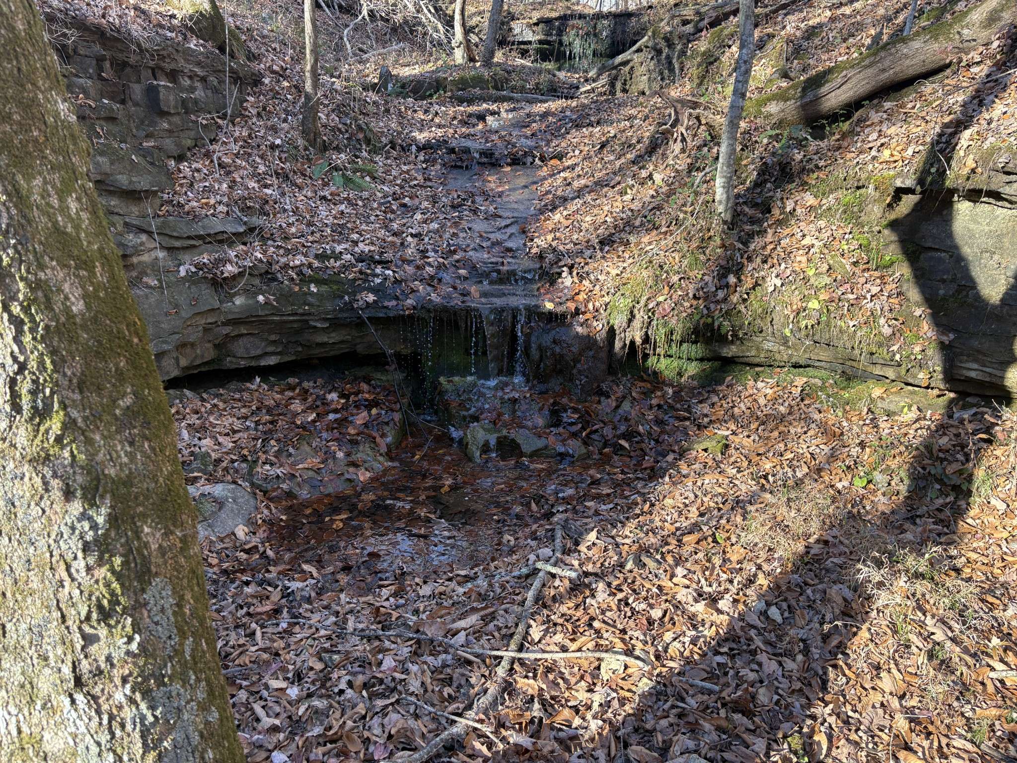 0 Pigpen Hollow Rd, Waynesboro, TN 38485