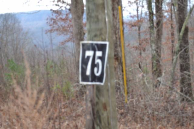 0 Tomahawk Rd, Jamestown, TN 38556