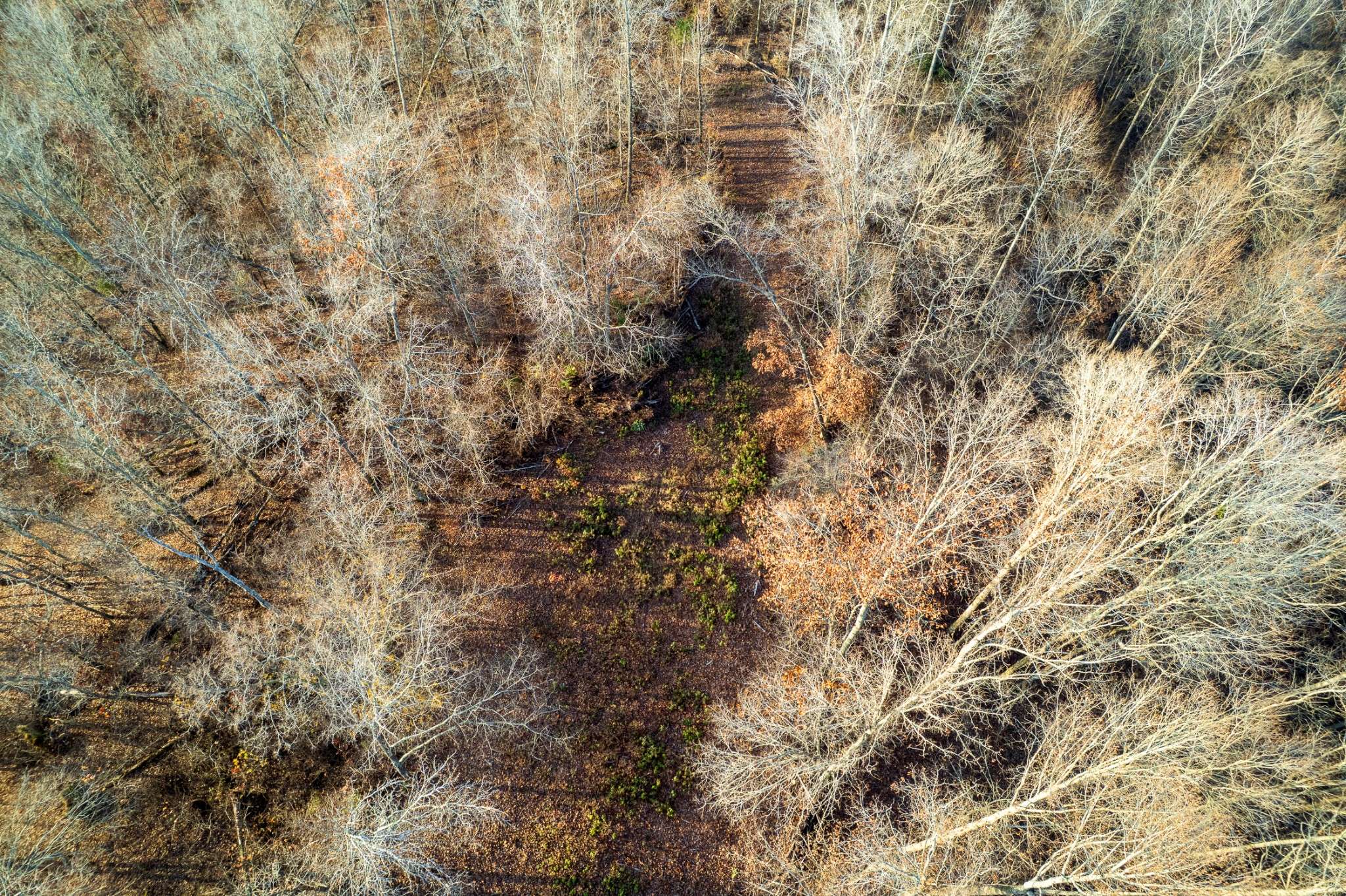 0 Hellsneck Lane, Waverly, TN 37185