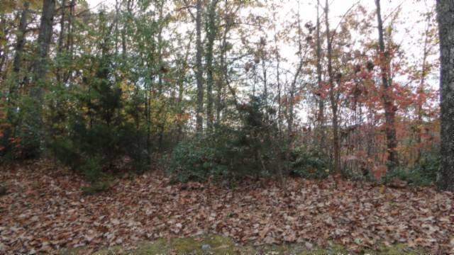 0 Drew Court, Smithville, TN 37166