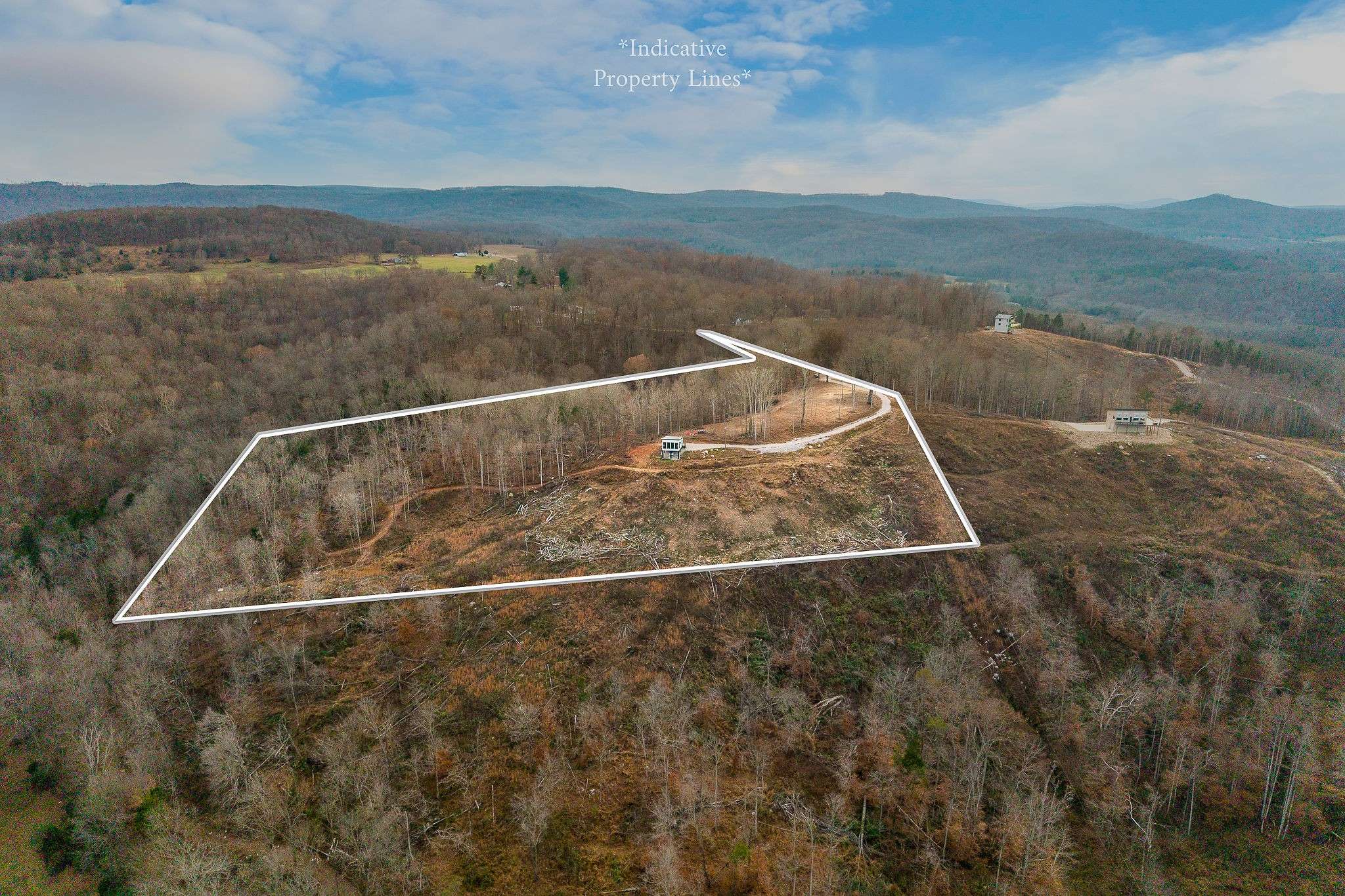 431 Bald Knob Cummings cove roads, Doyle, TN 38559