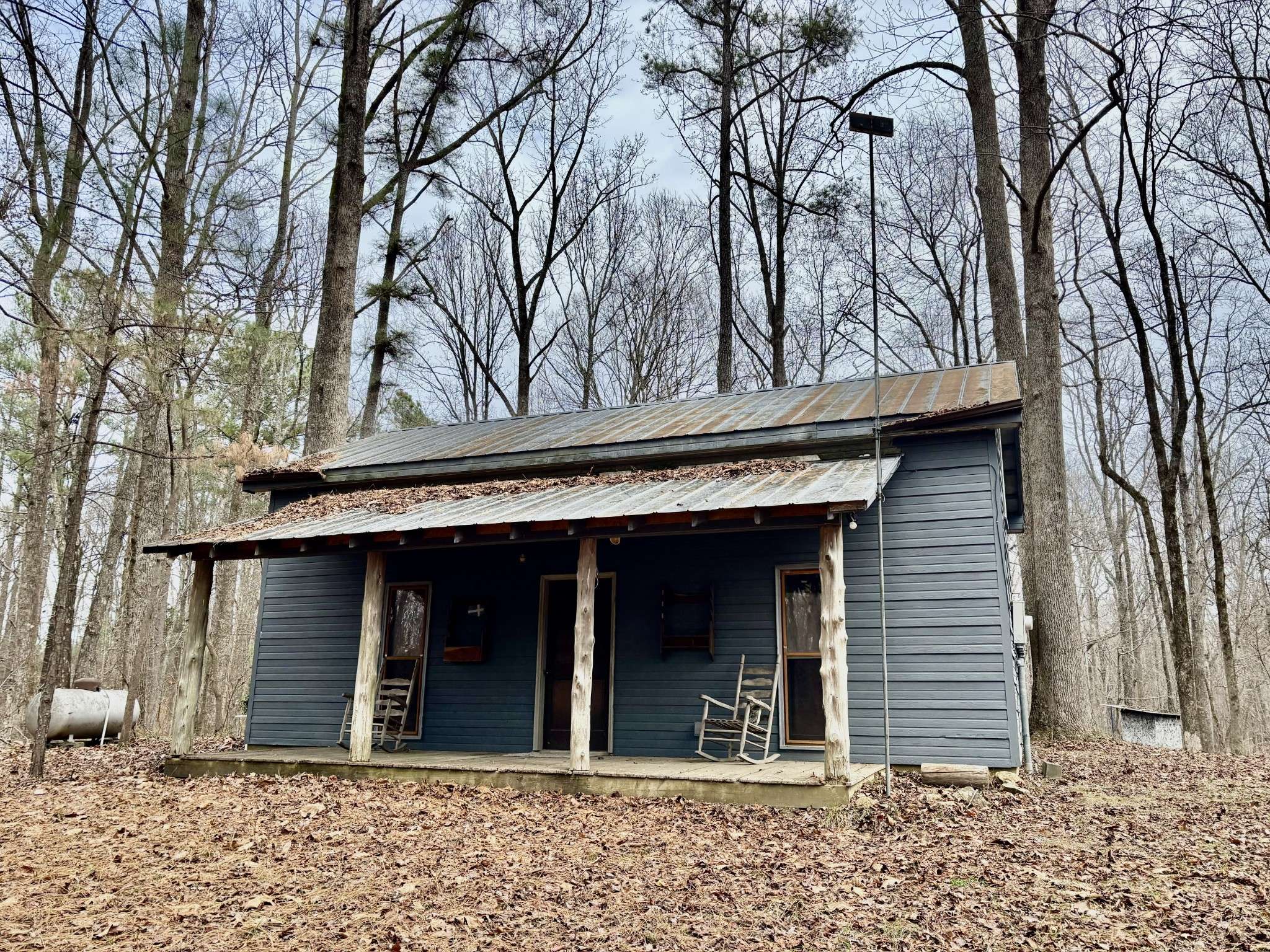 84 Granny Pratt Ln, Belvidere, TN 37306