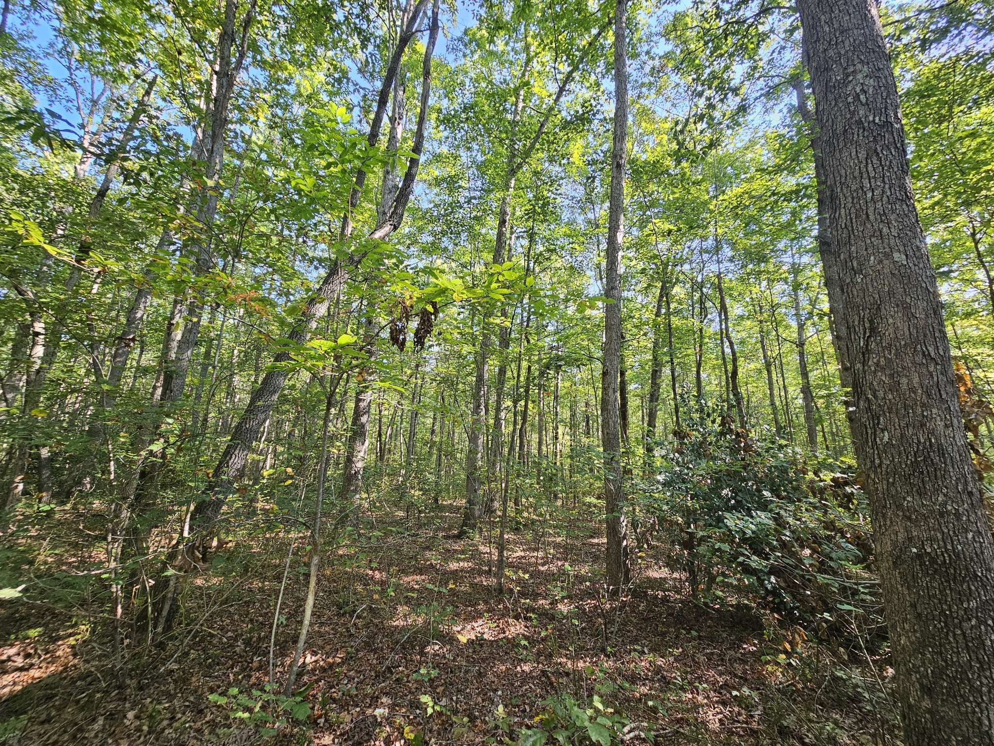 0 SR 108, Gruetli Laager, TN 37339
