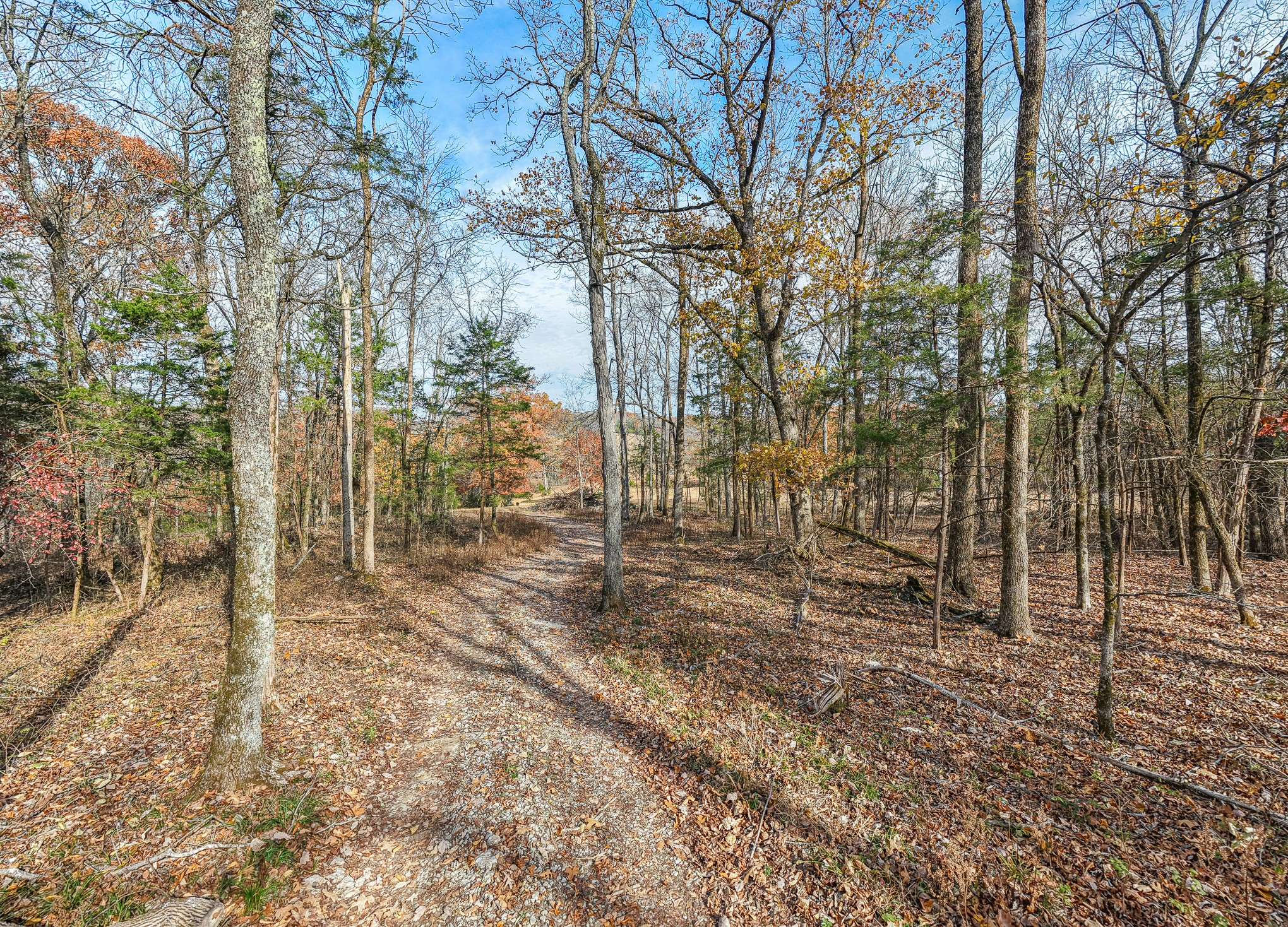 1511 Belotes Ferry Rd, Lebanon, TN 37087