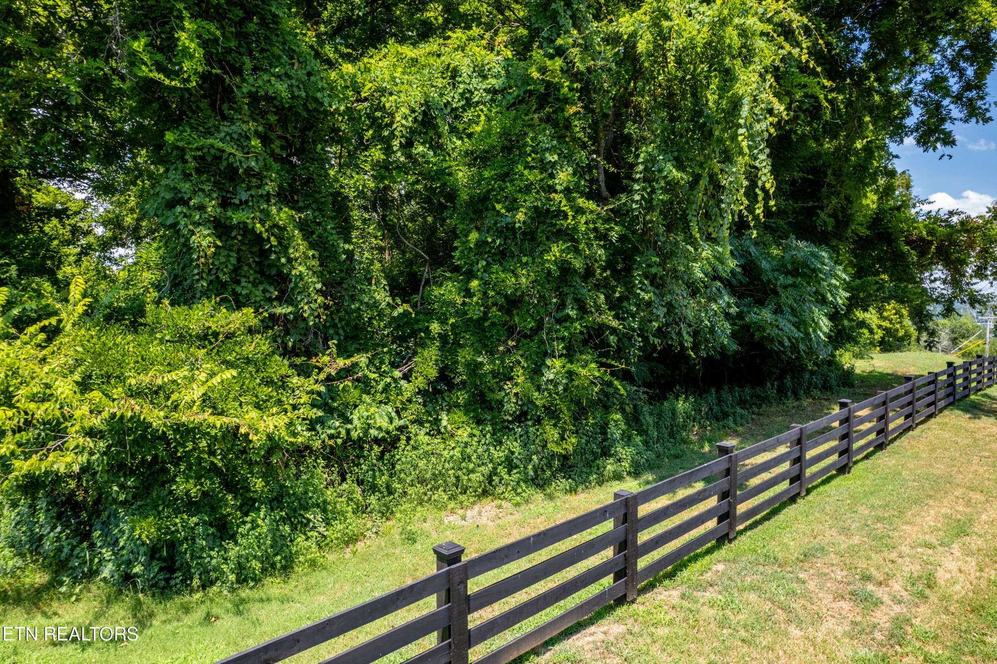 11 Rankin Ferry Loop, Louisville, TN 37777
