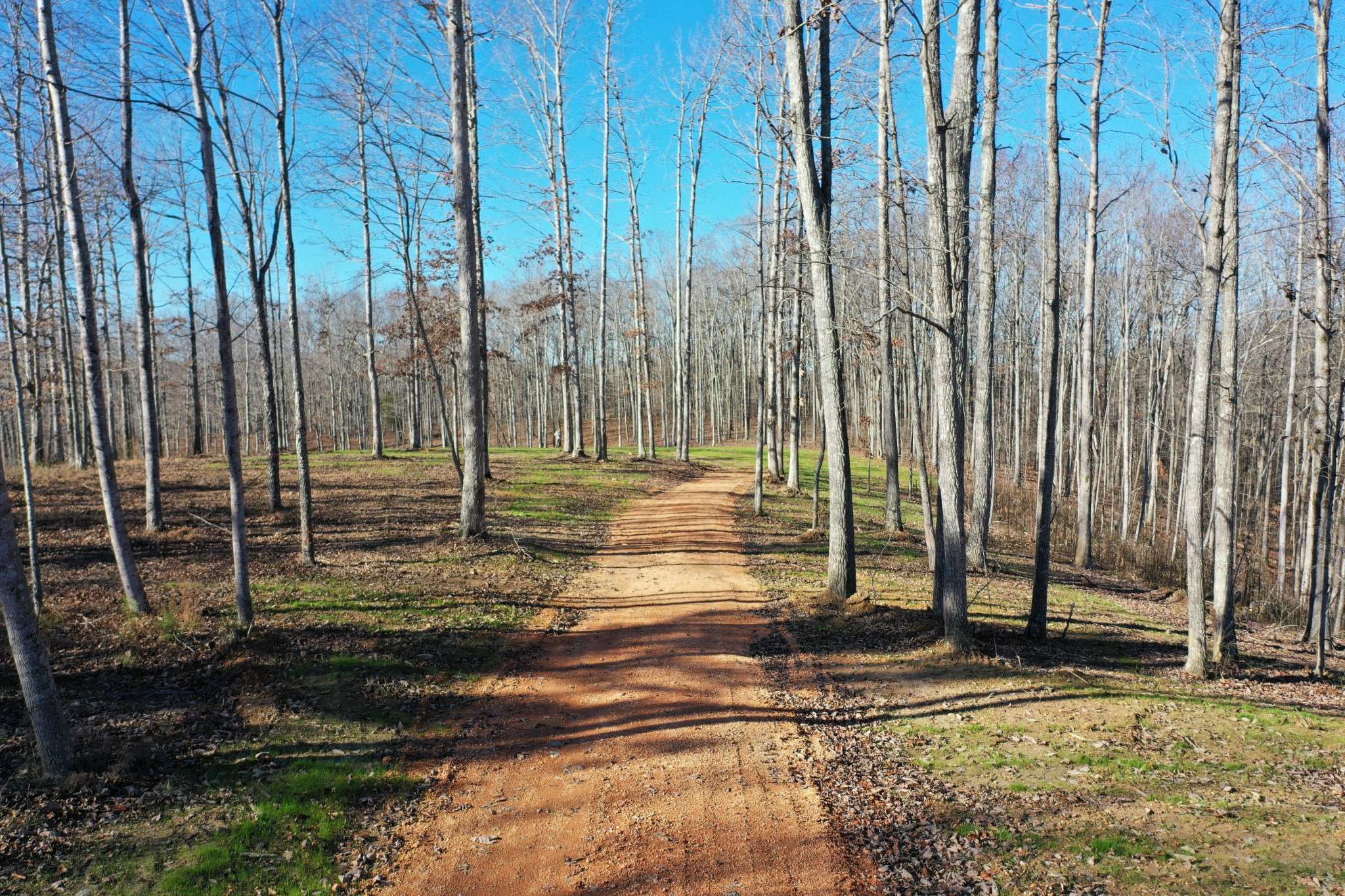 0 Bell Branch Road, Nunnelly, TN 37137