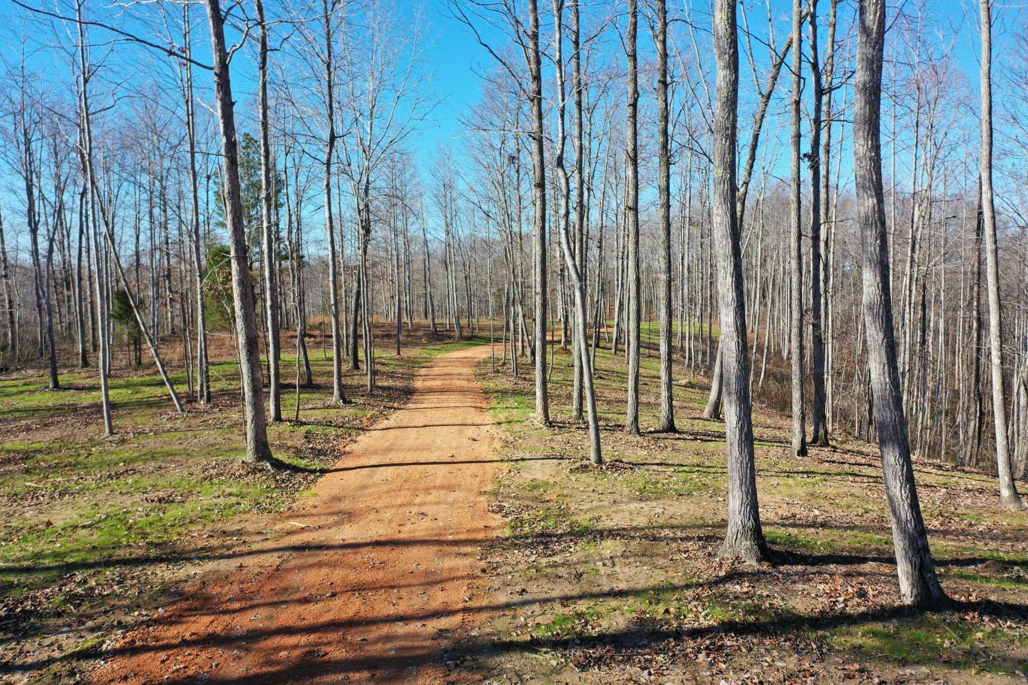 0 Bell Branch Road, Nunnelly, TN 37137