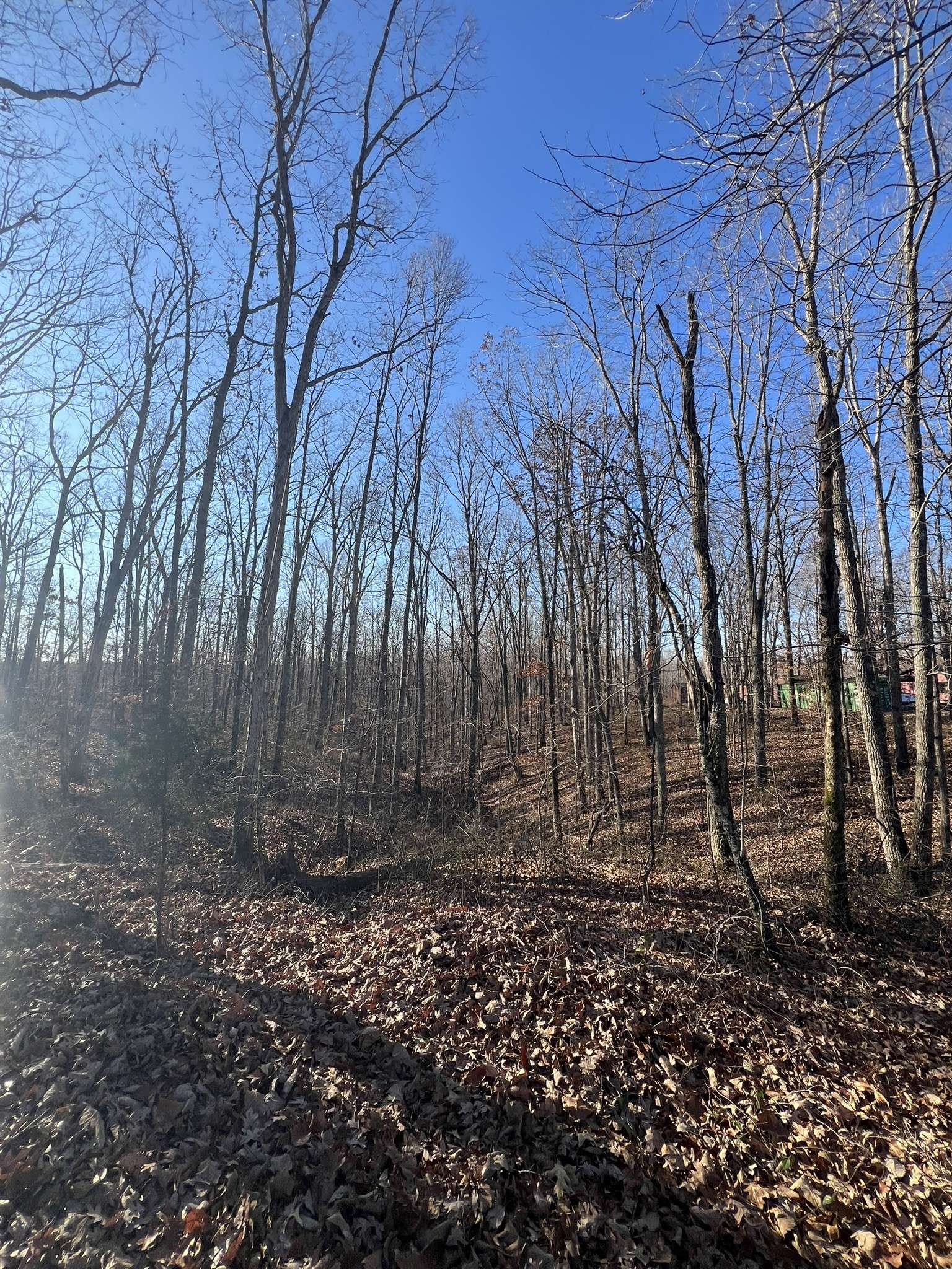 151 Kimberly Rd, Hohenwald, TN 38462