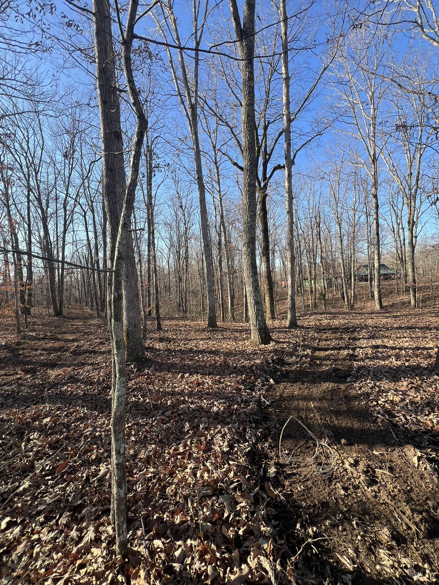 151 Kimberly Rd, Hohenwald, TN 38462