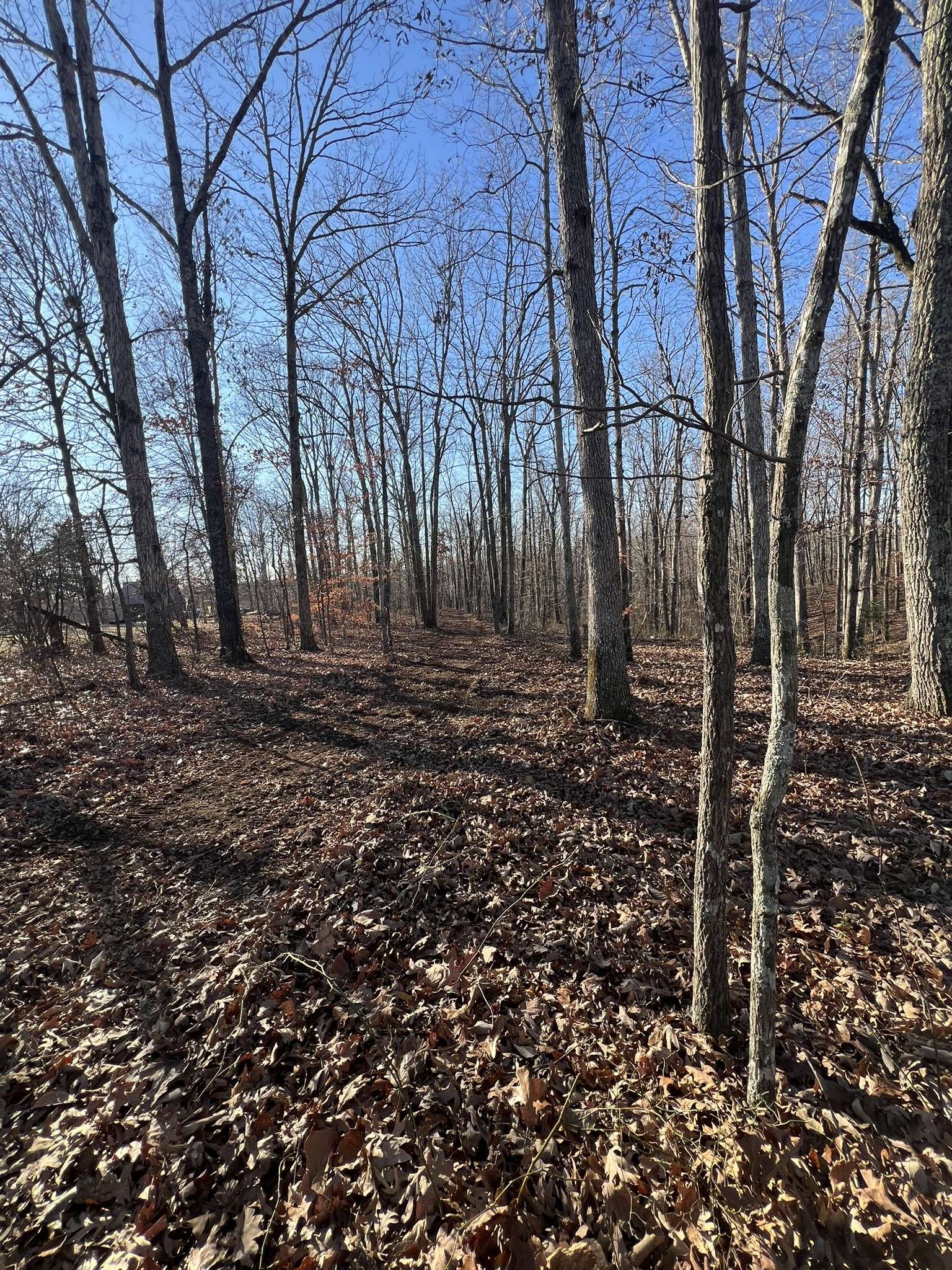 151 Kimberly Rd, Hohenwald, TN 38462