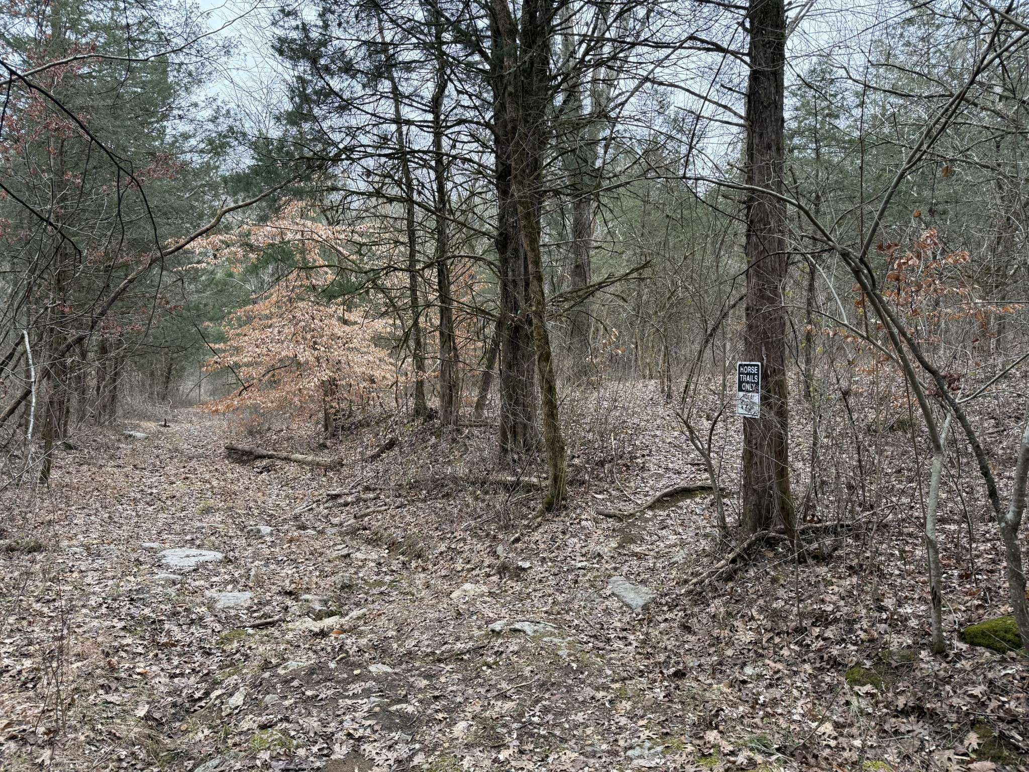 0 Cook Ln, Gainesboro, TN 38562