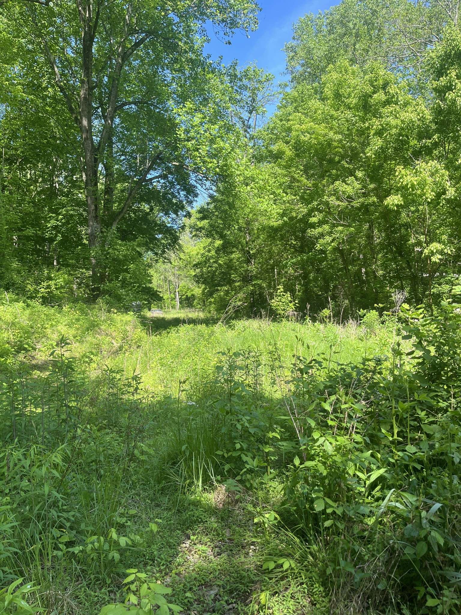0 Hawkins Rd, Westmoreland, TN 37186