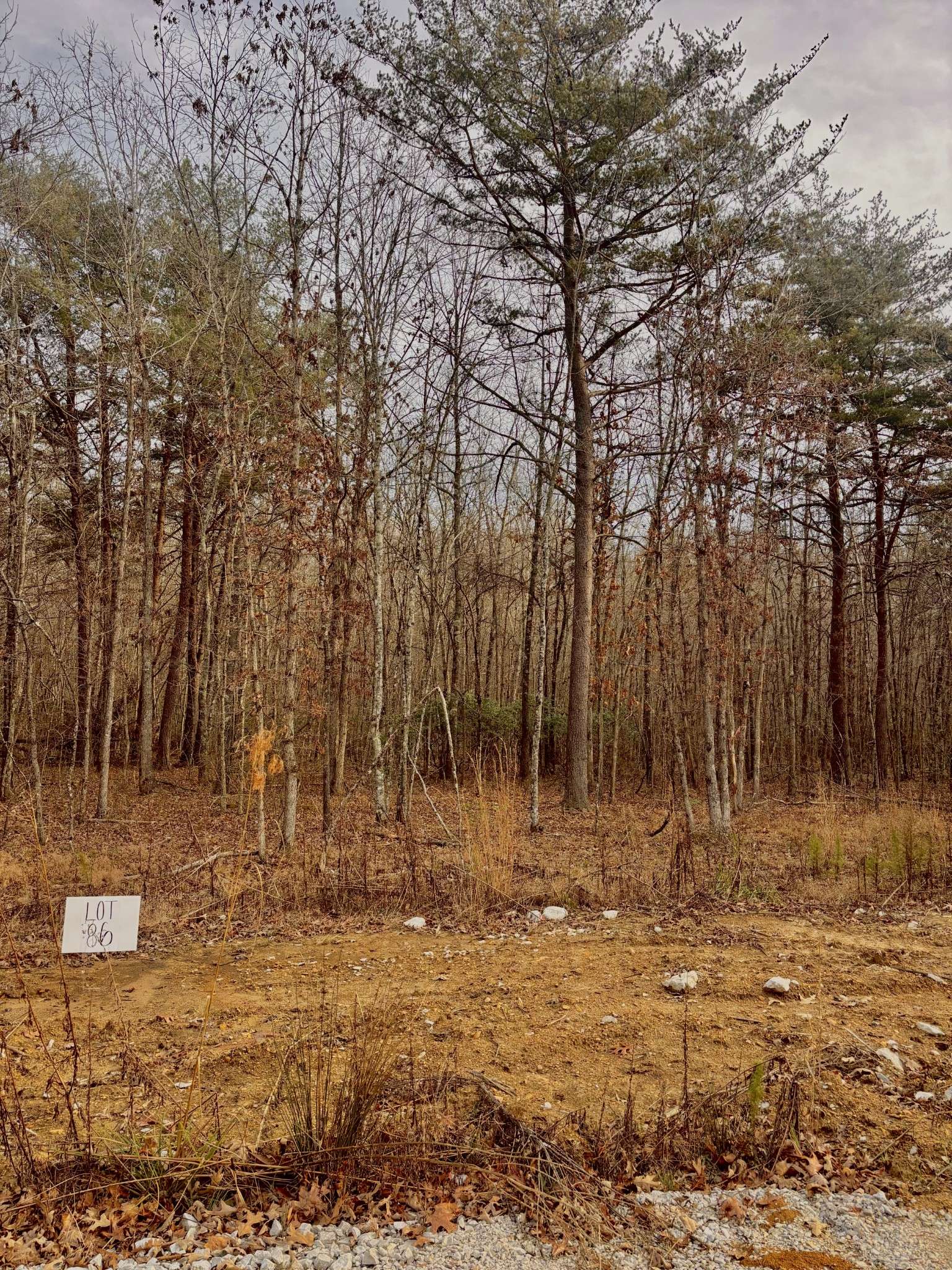 0 Summerfield Road, Monteagle, TN 37356