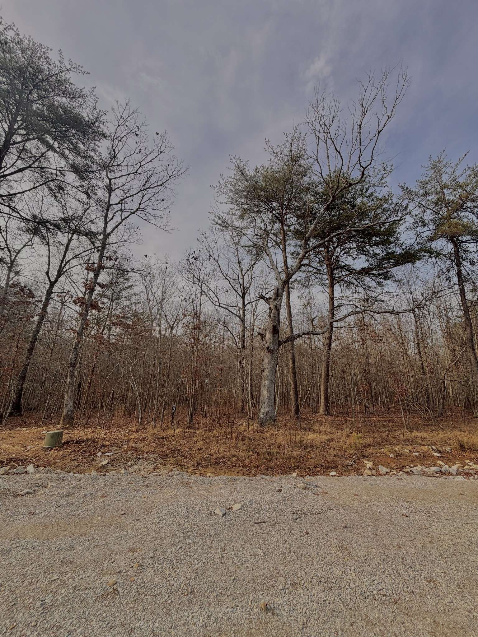 0 Summerfield Road, Monteagle, TN 37356