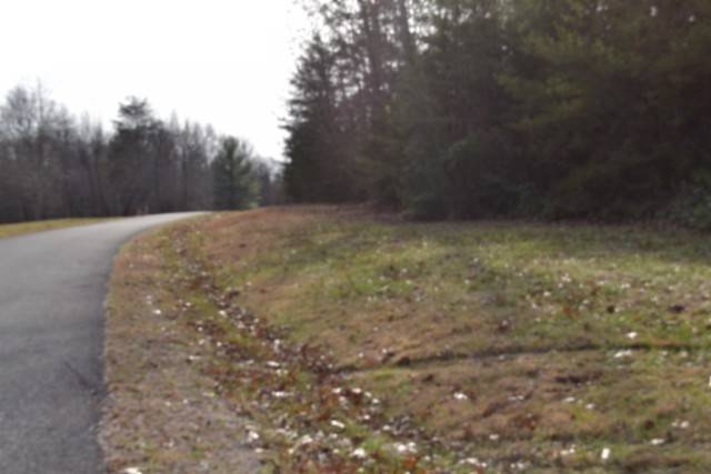 0 Shotgun Annie Rd, Jamestown, TN 38556